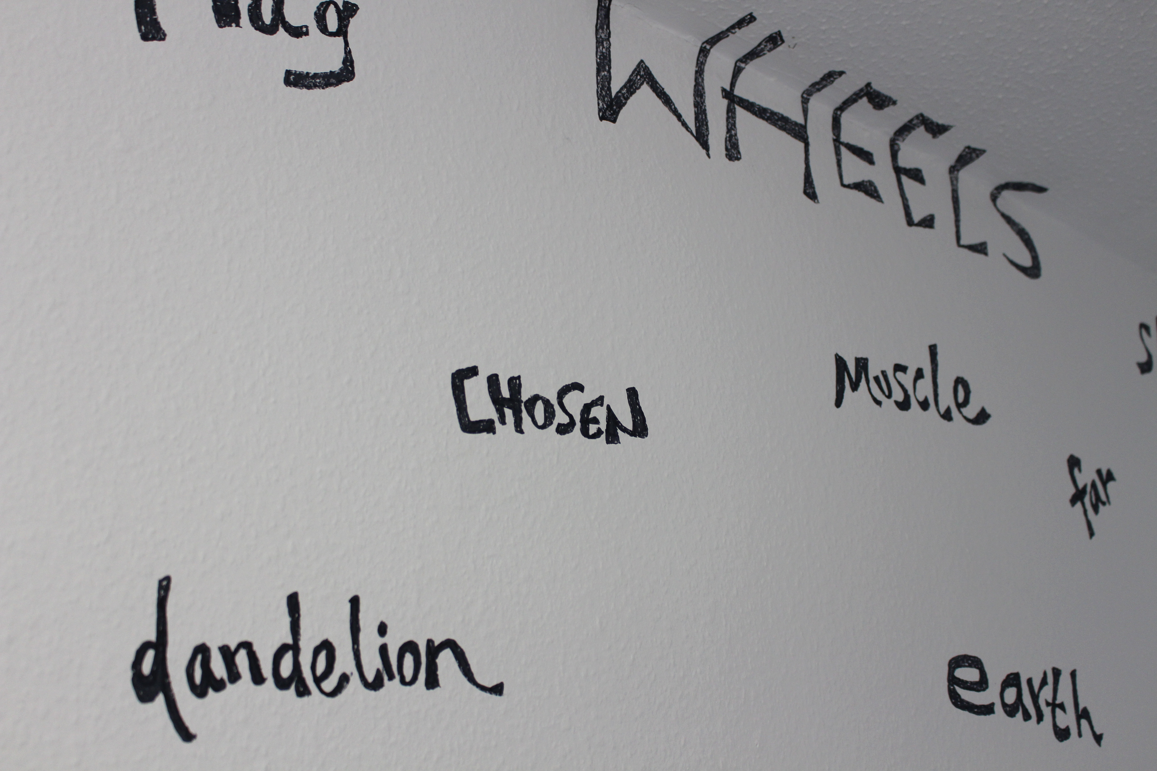 Daniel Shafiani & Nima Shafiani - "10 words" - 2024 - ink on paper & wall installation - (detail) 
