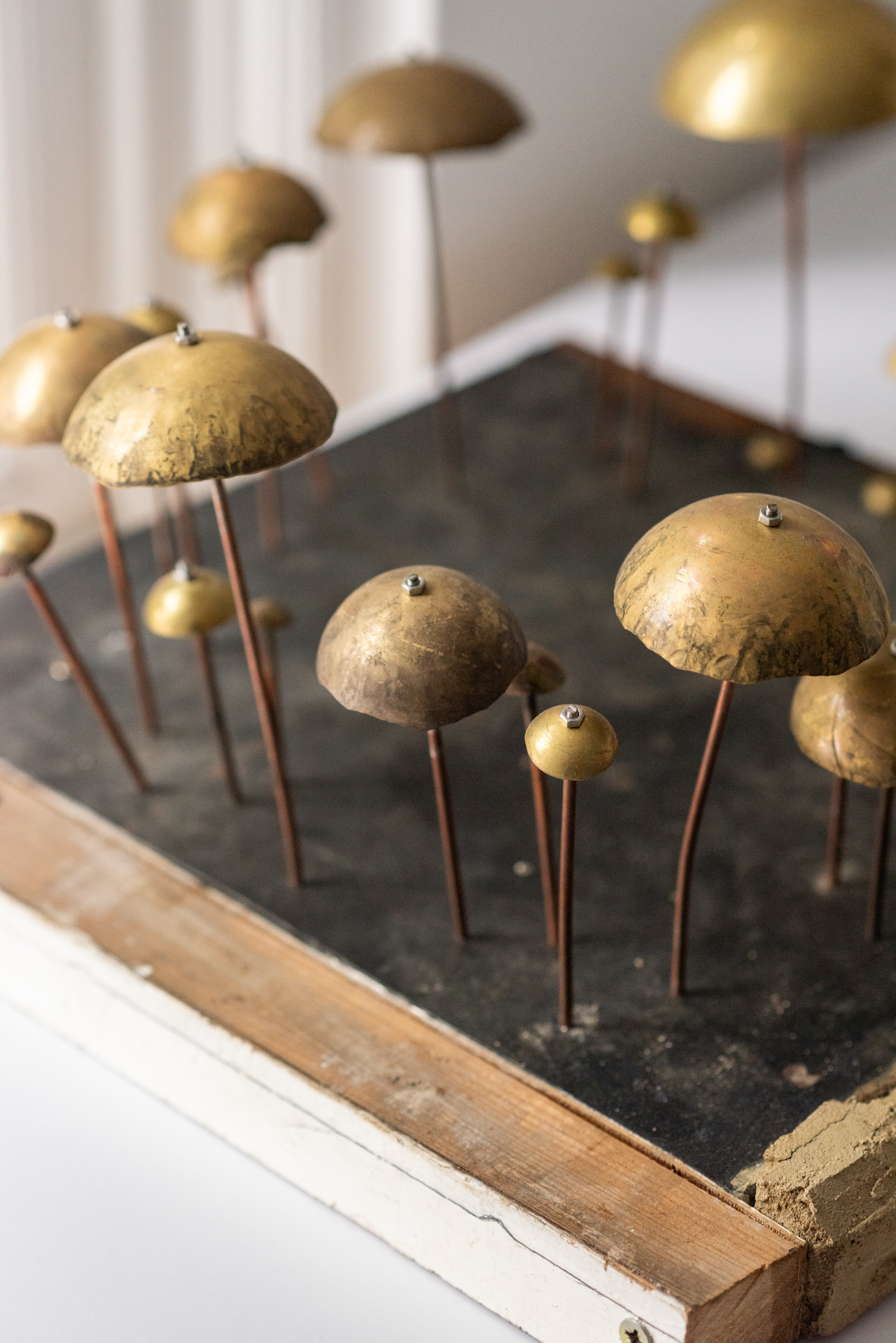 Bodie Stanley - Fairy Ring - 2025 -  (detail)