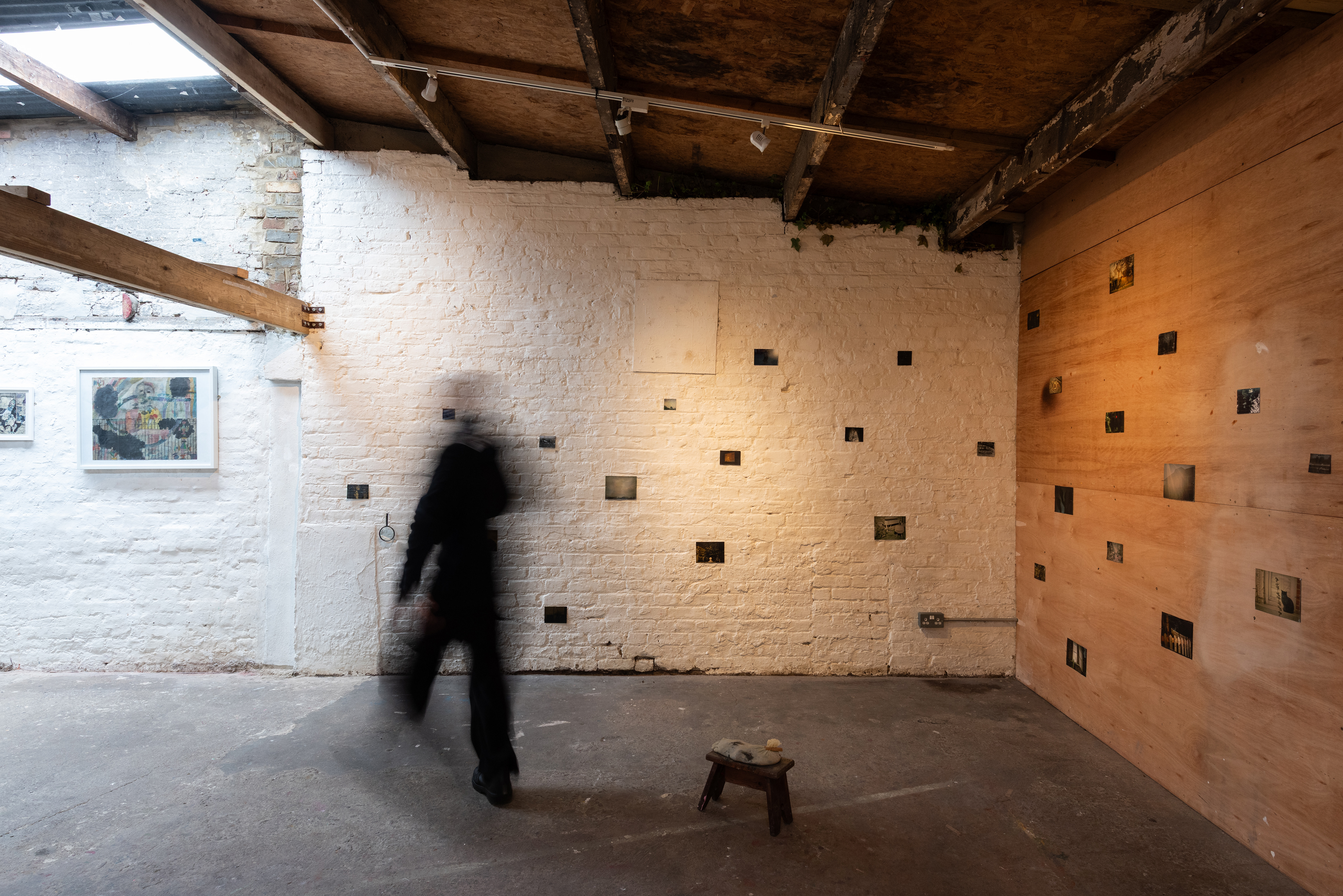 Nature and Its Vendors (installation view)