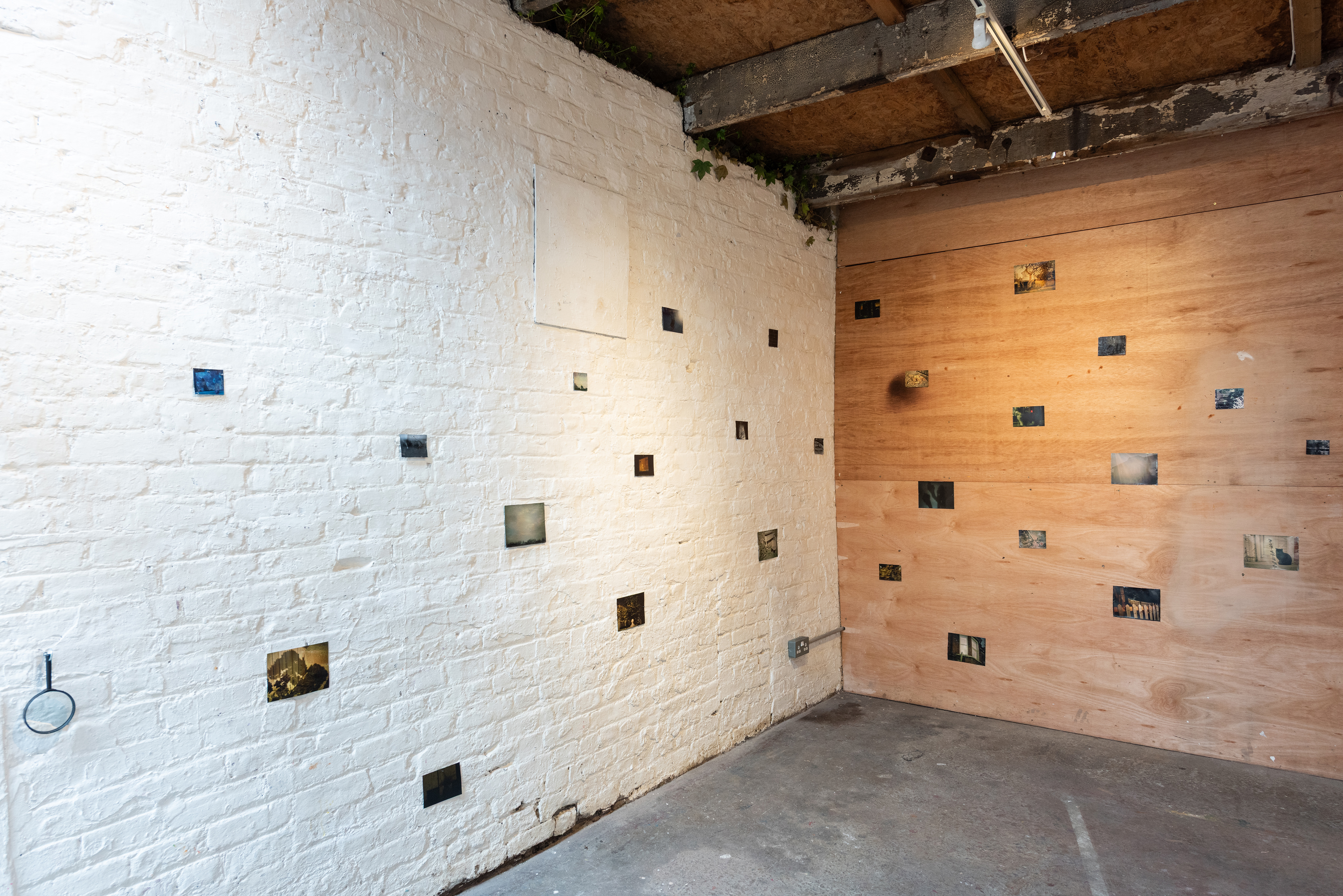 Jonathan Allen - The Size of a Cat  - (2025) -  Digital photographic prints, Polaroid prints,  gaffer tape, Sellotape, steel tacks, plastic magnifier - dimensions variable