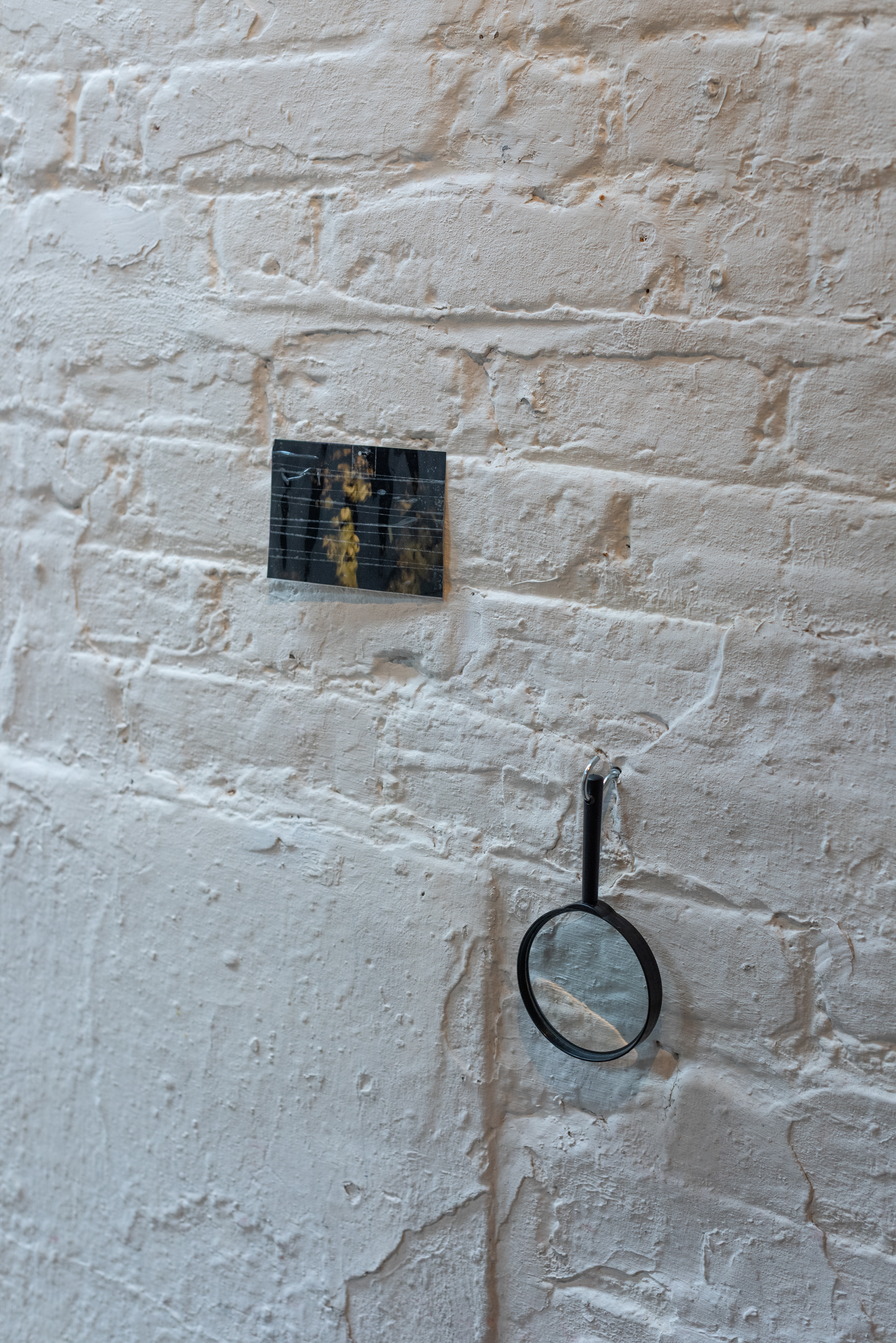 Jonathan Allen - The Size of a Cat  - (2025) -  (detail) 