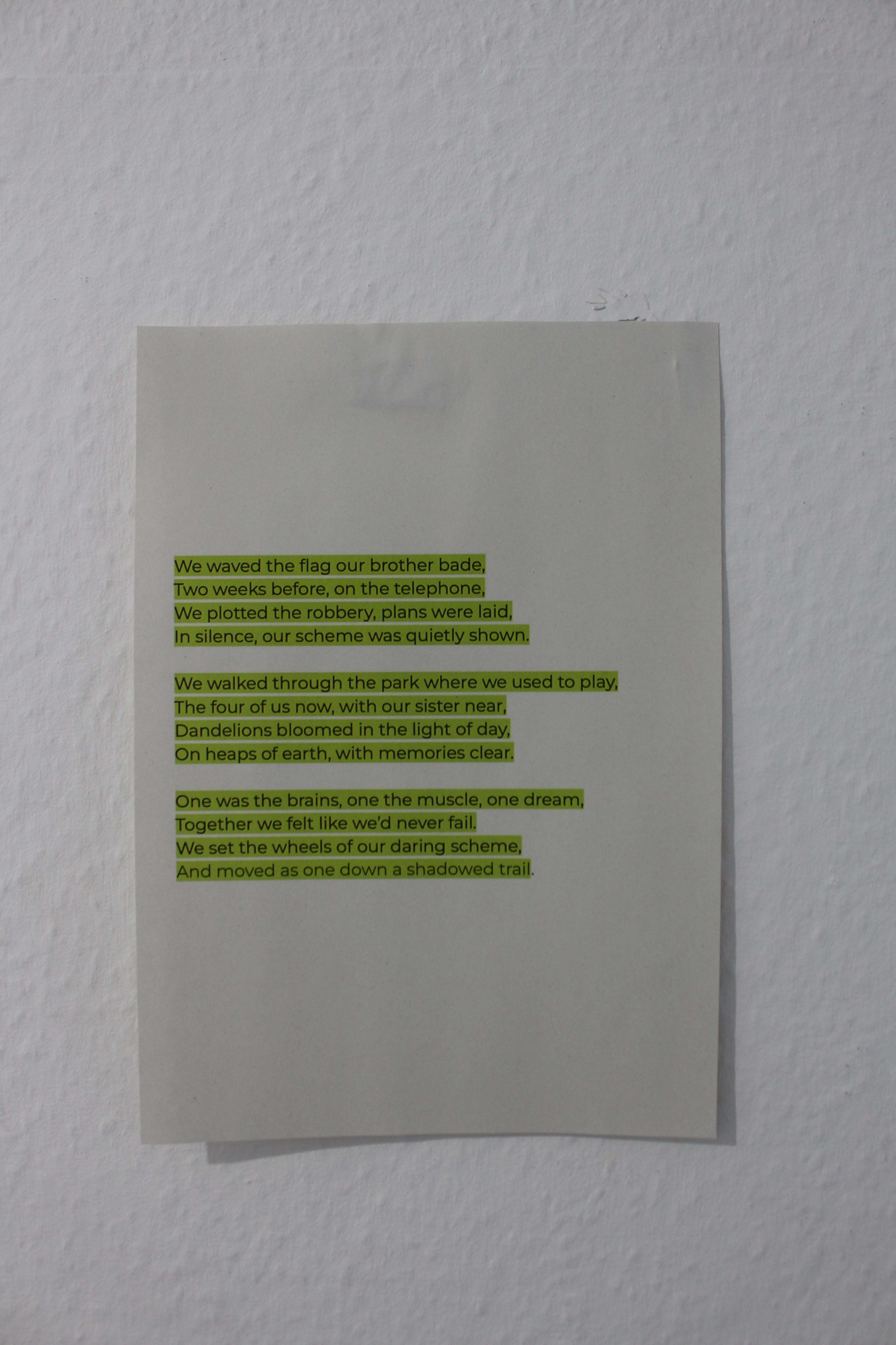 Daniel Shafiani & Nima Shafiani - "10 words" - 2024 - ink on paper & wall installation - (detail) 