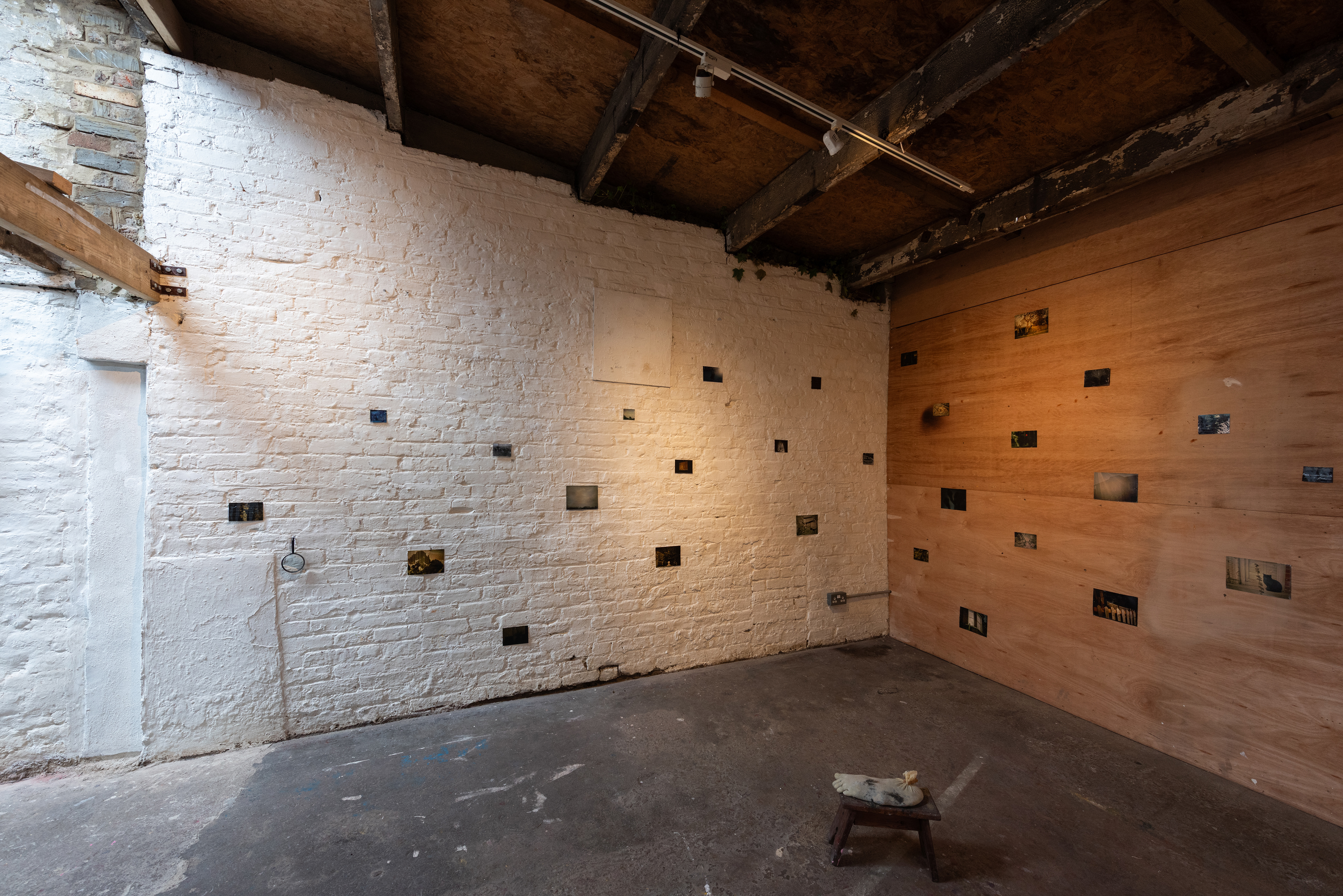 Nature and Its Vendors (installation view)
