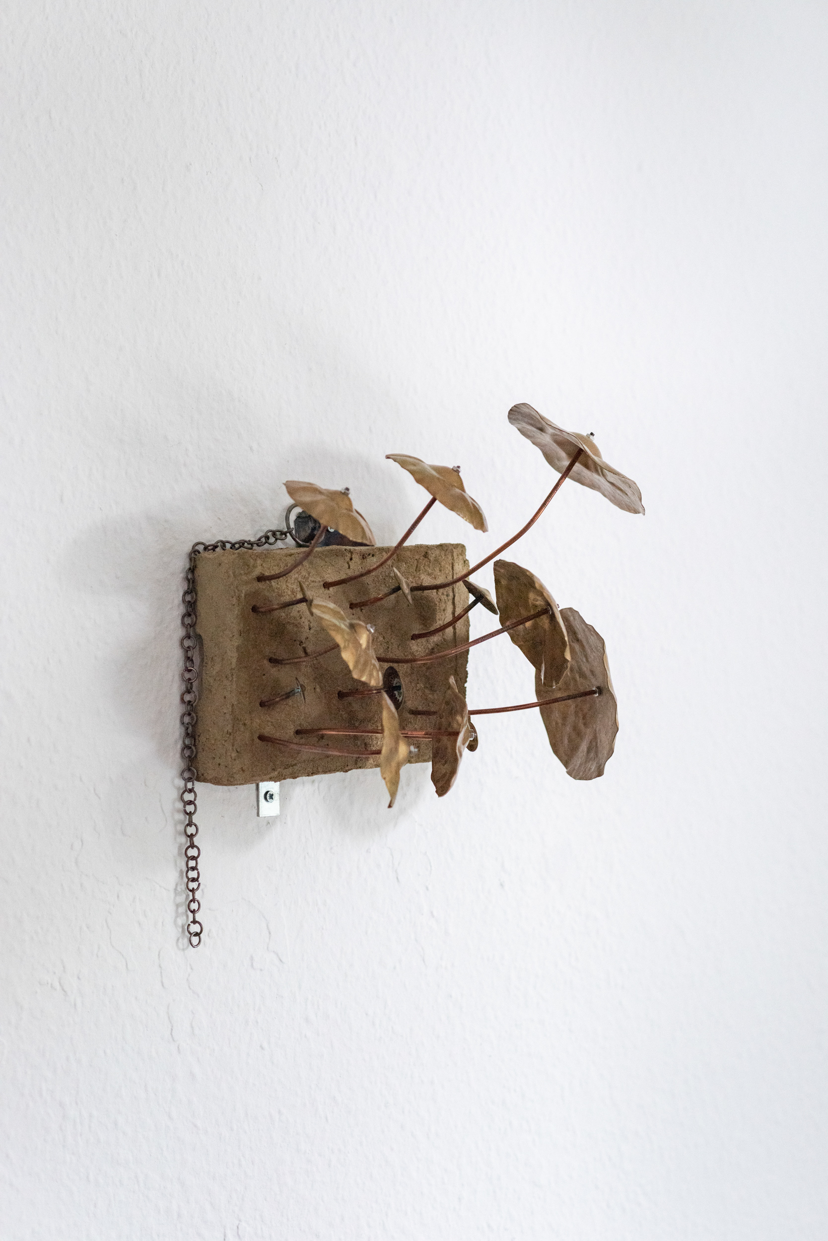 Bodie Stanley - Pleurotus - 2025 - steel, brass, wood and concrete - 17 x 13 x 12 cm