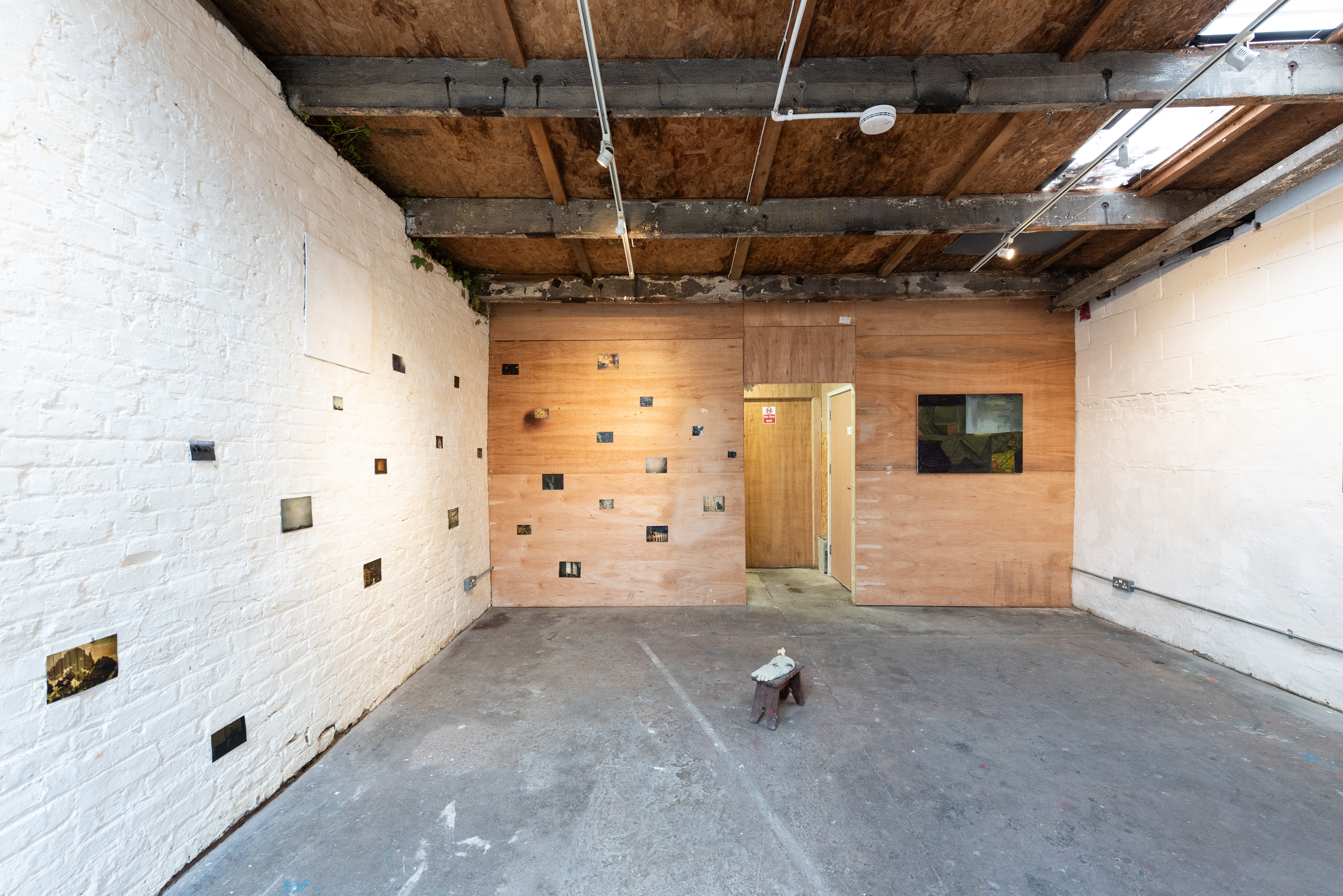 Nature and Its Vendors (installation view)