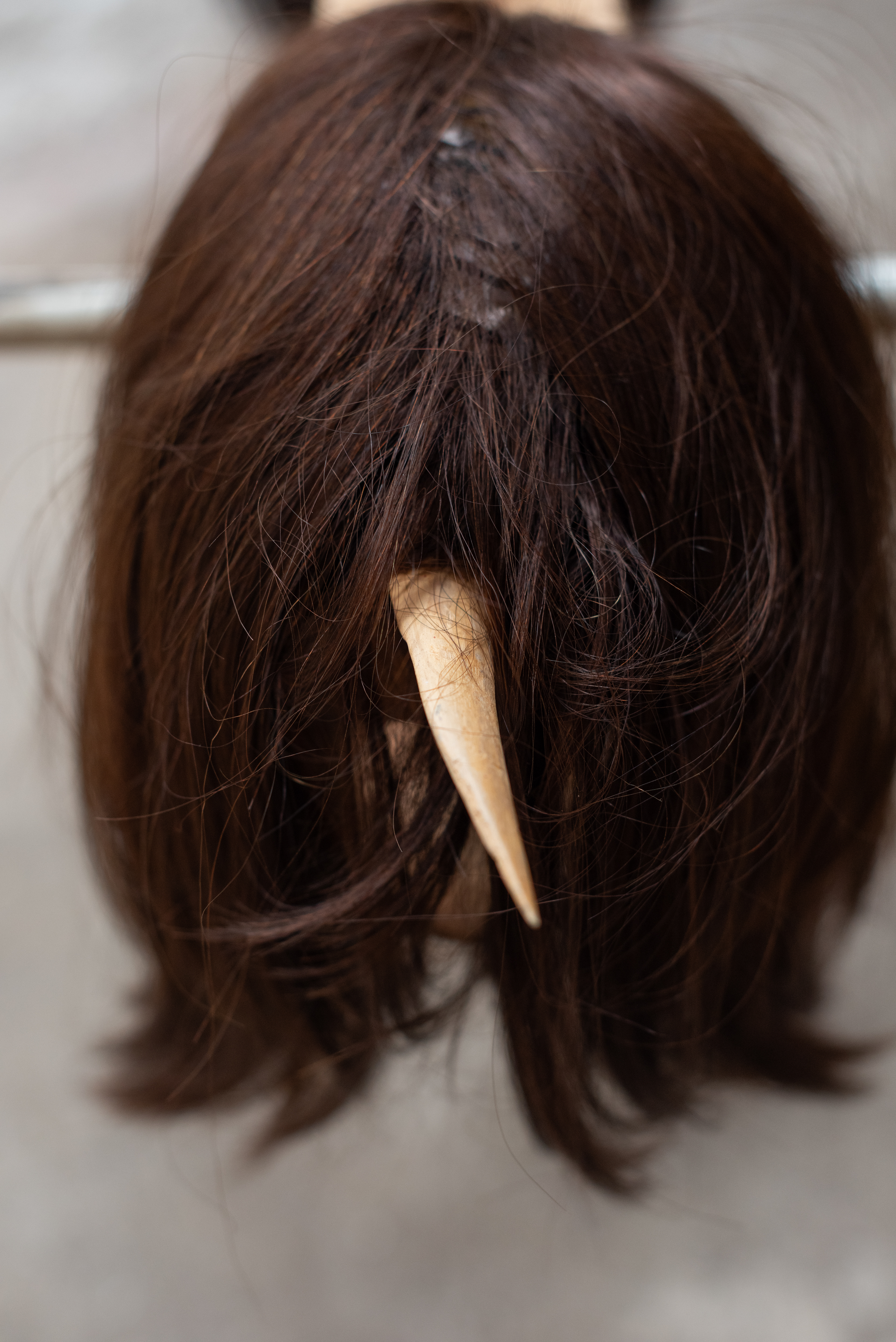 Tabby Li - Prey - (2024) - (detail)