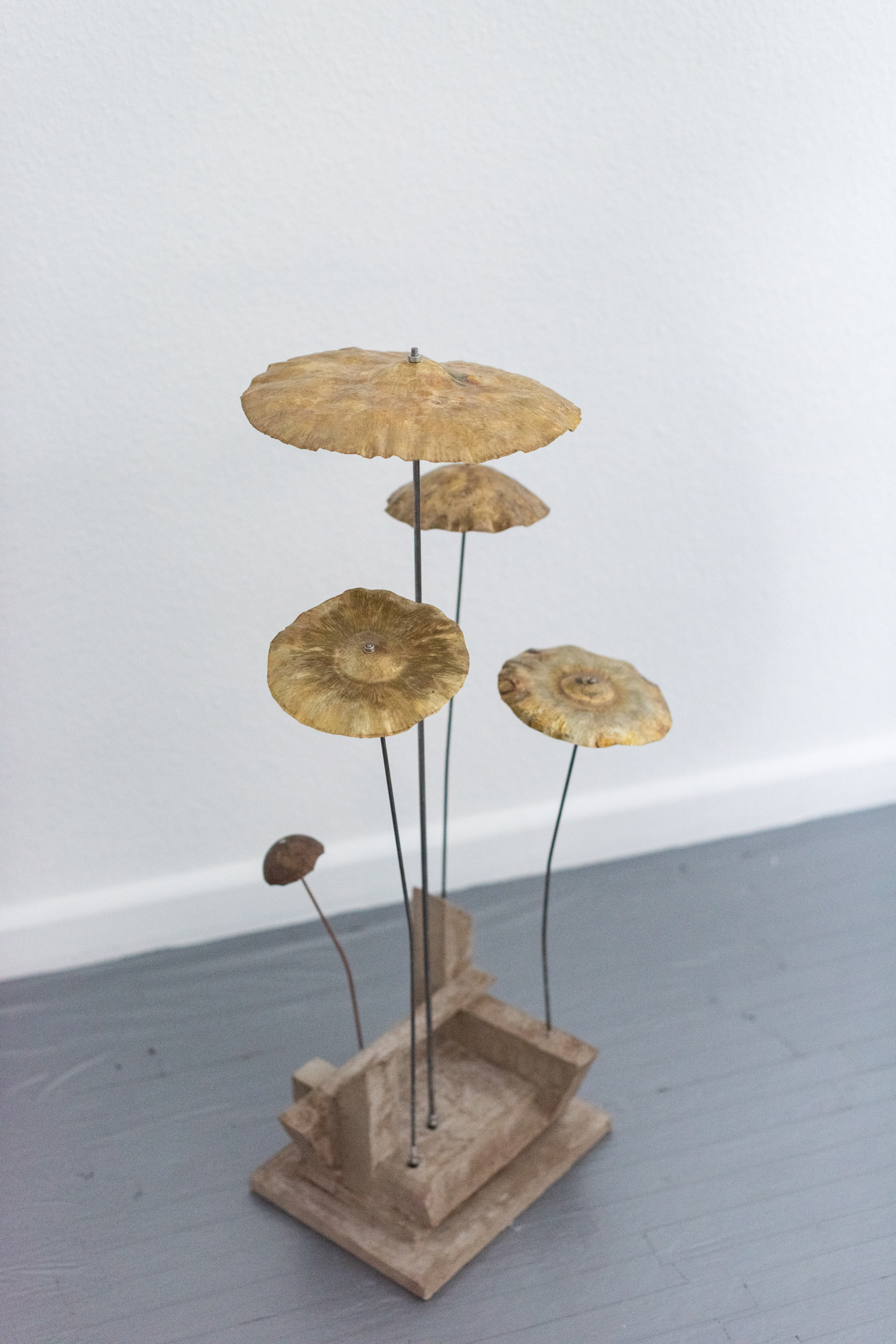 Bodie Stanley - Macrolepiota procera - 2025 - steel, brass, wood and concrete - 87 x 35 x 49cm