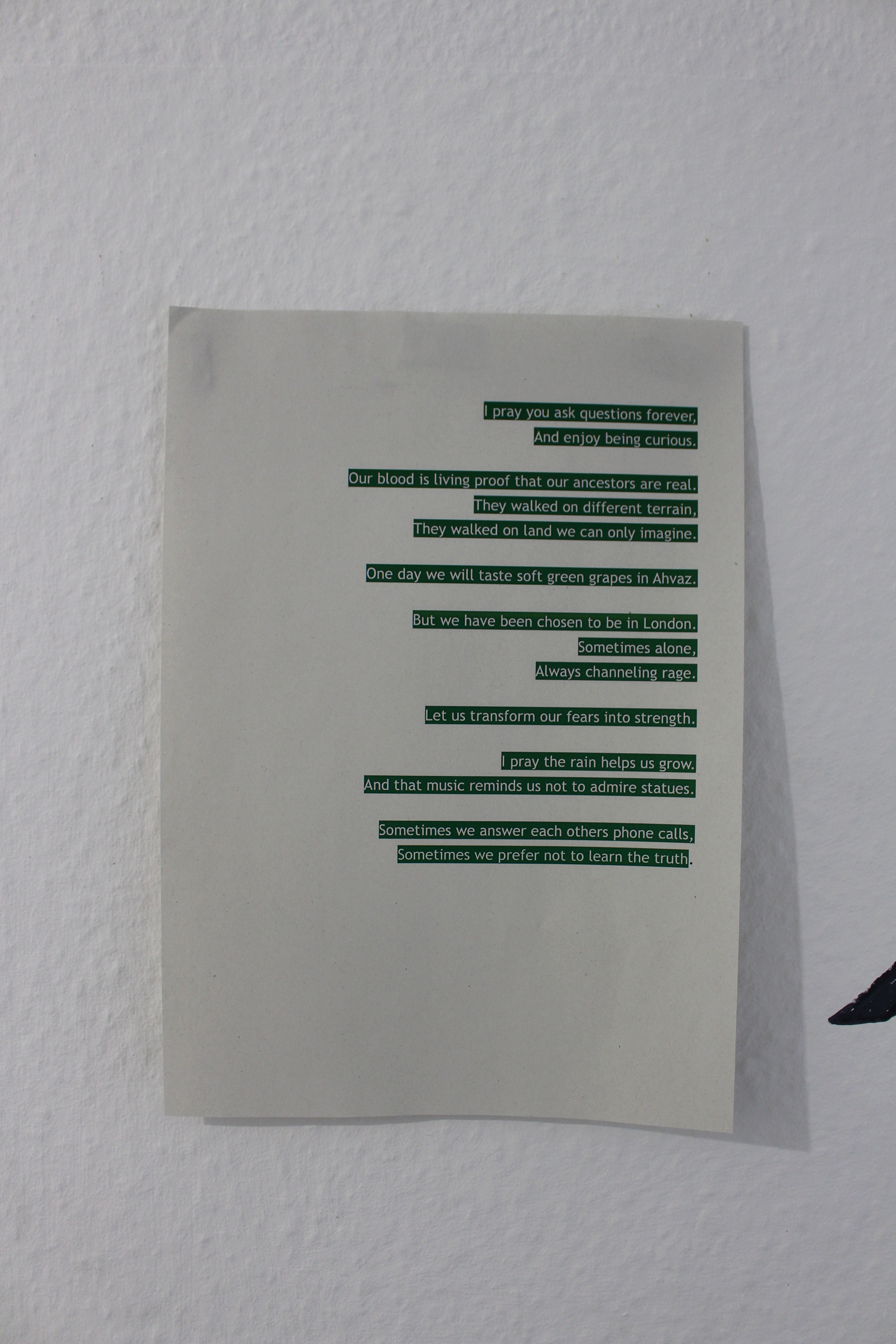 Daniel Shafiani & Nima Shafiani - "10 words" - 2024 - ink on paper & wall installation - (detail) 