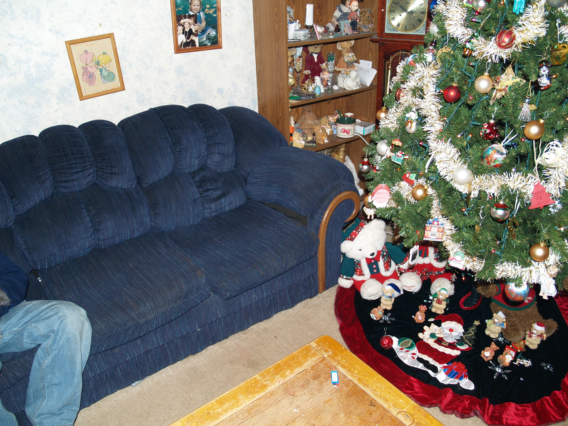 OLYMPUS DIGITAL CAMERA