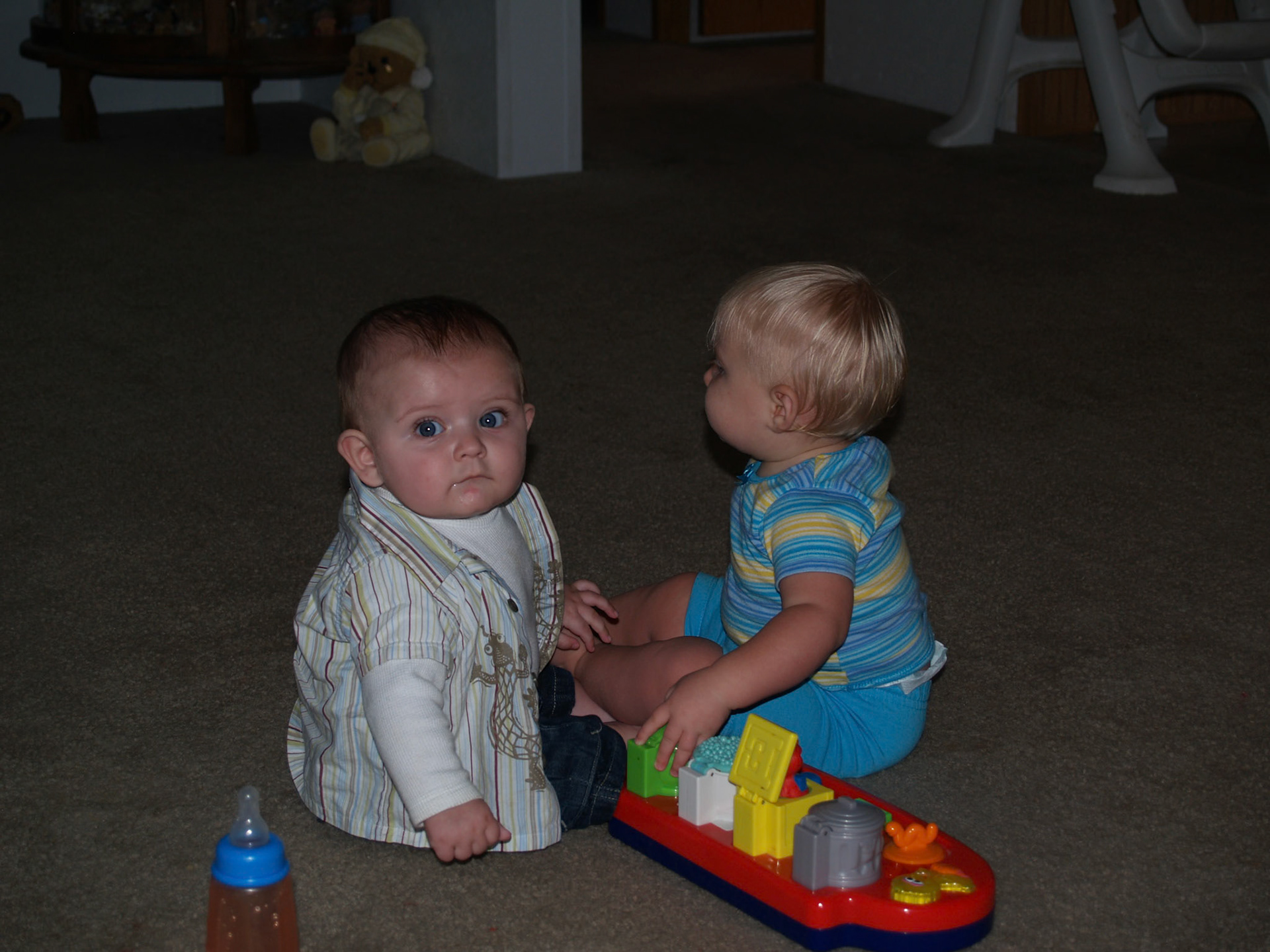 OLYMPUS DIGITAL CAMERA