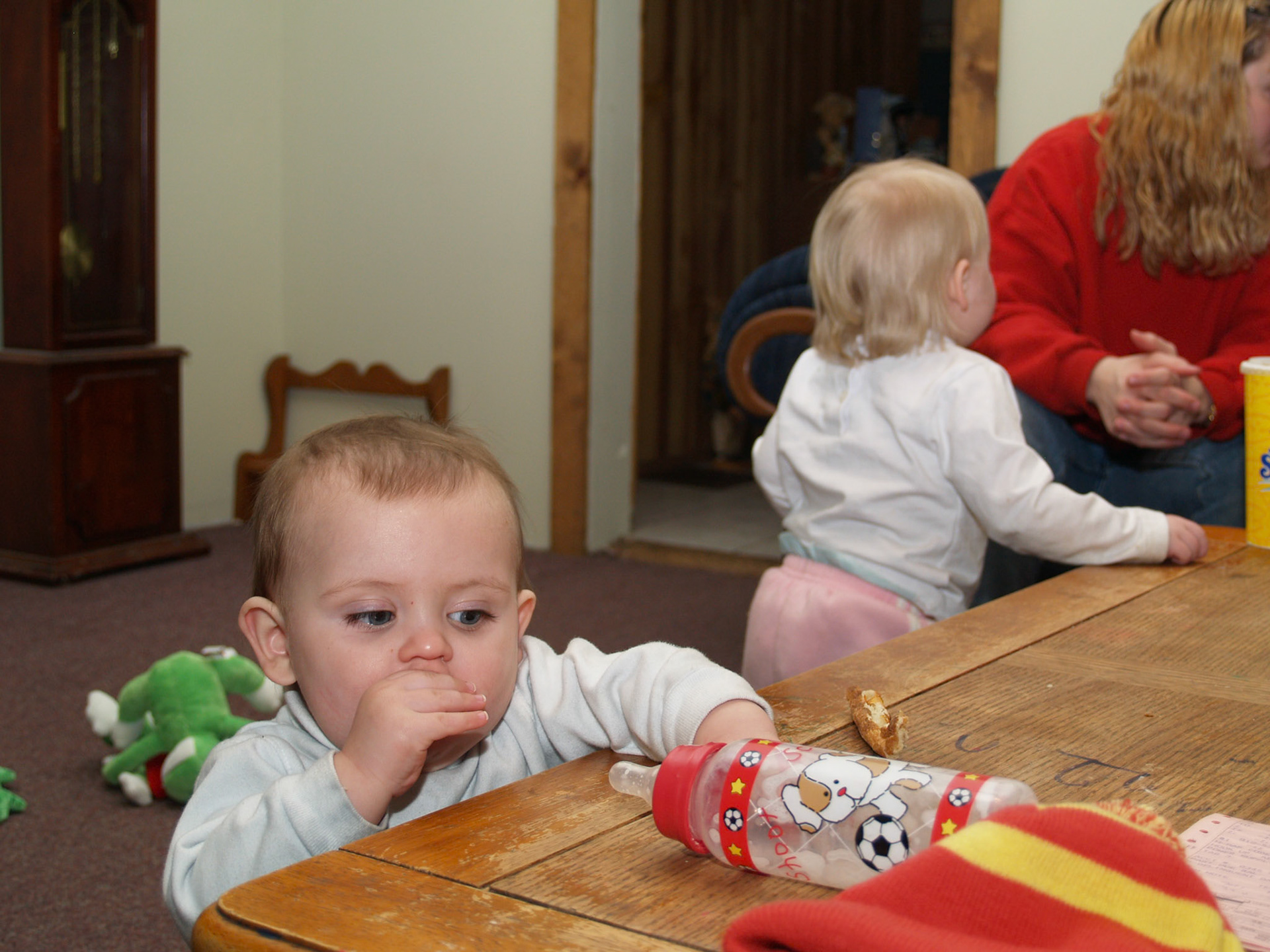 OLYMPUS DIGITAL CAMERA