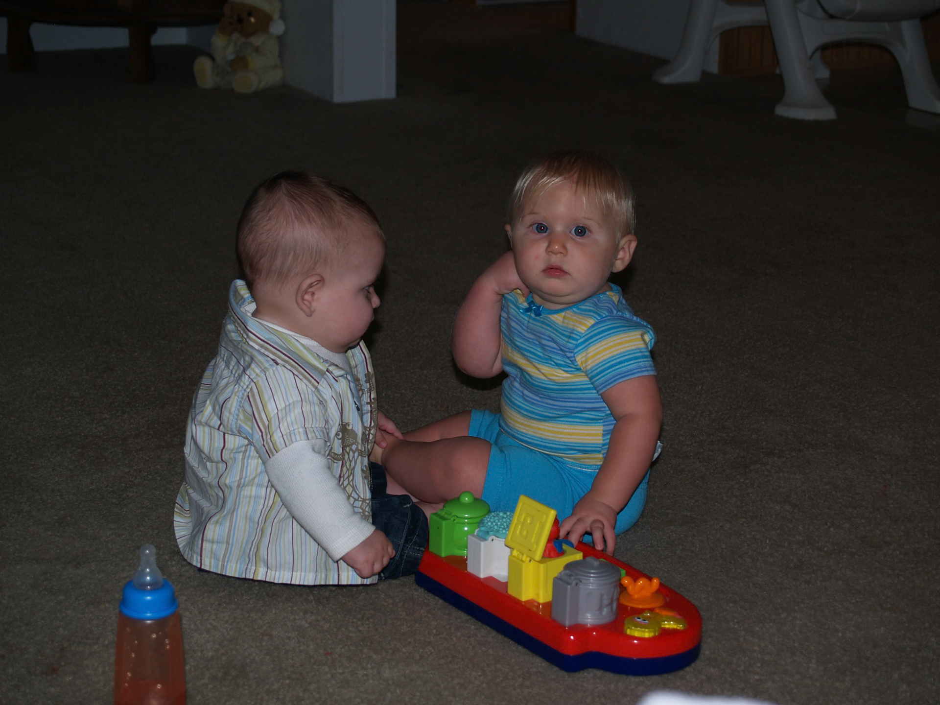 OLYMPUS DIGITAL CAMERA