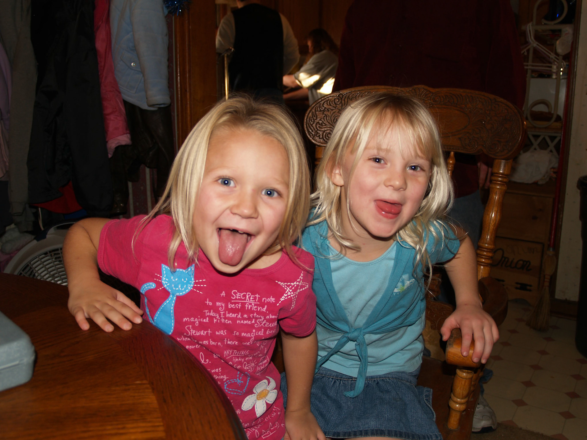 OLYMPUS DIGITAL CAMERA