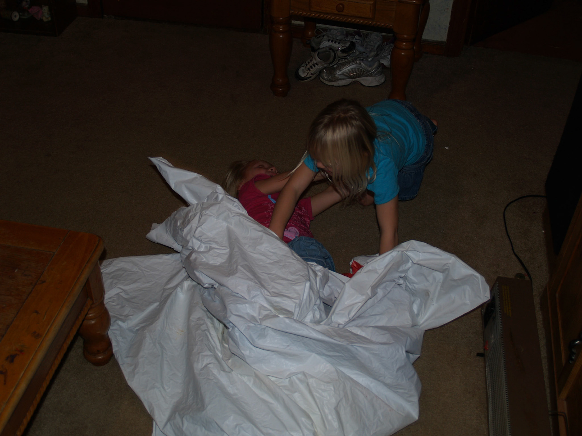 OLYMPUS DIGITAL CAMERA