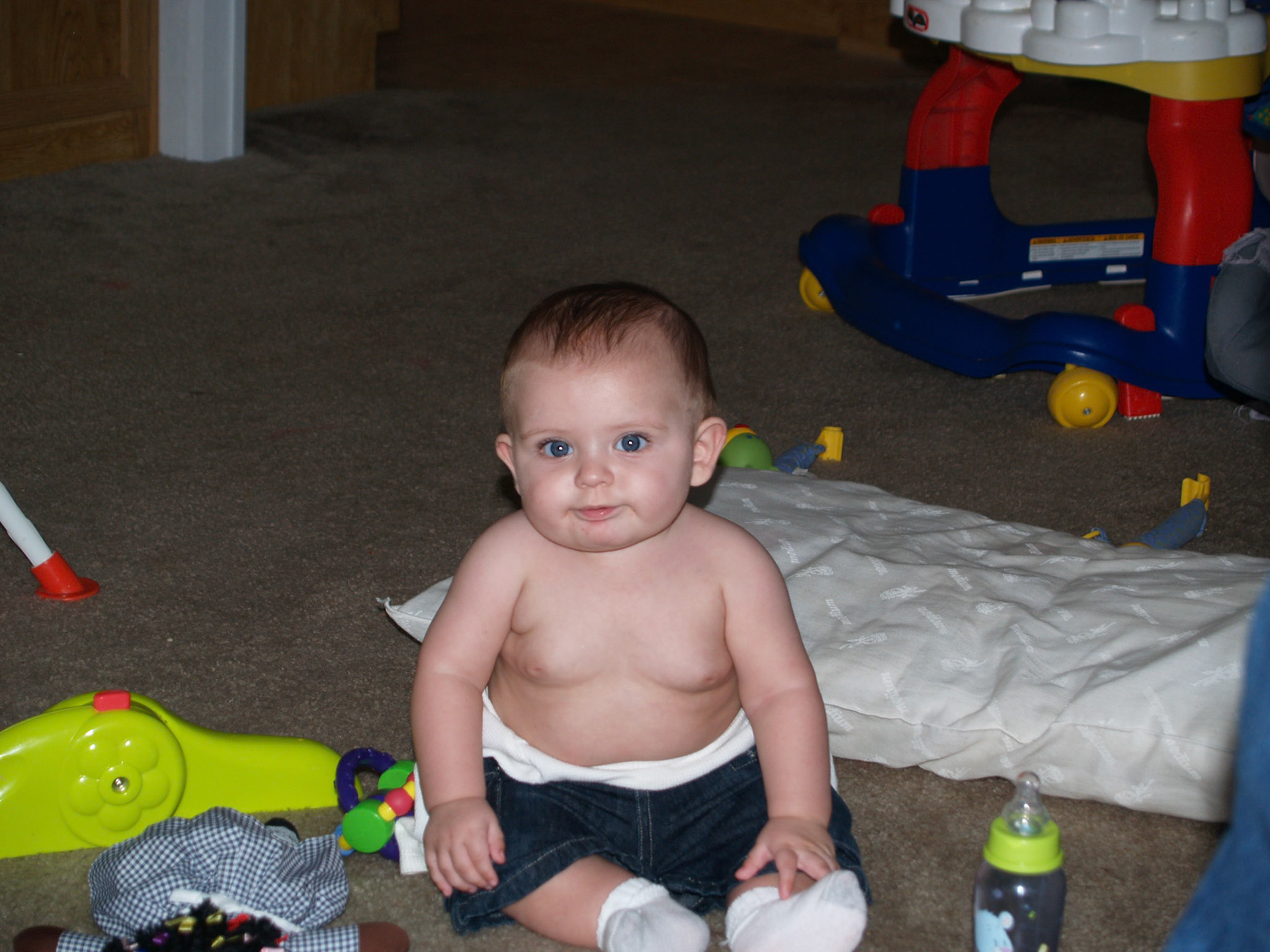 OLYMPUS DIGITAL CAMERA