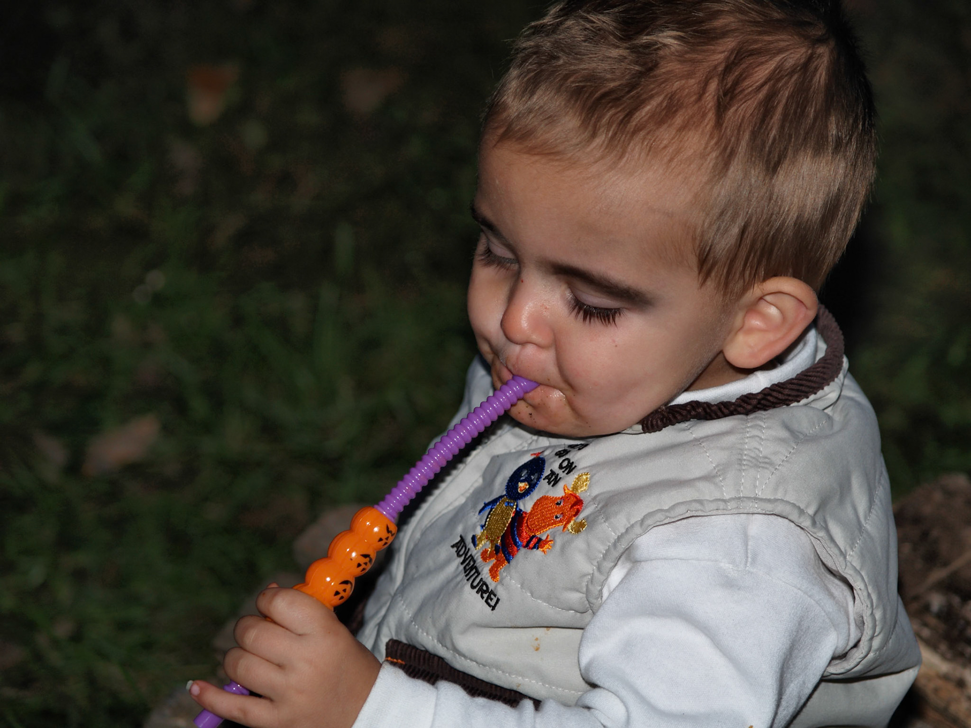 OLYMPUS DIGITAL CAMERA