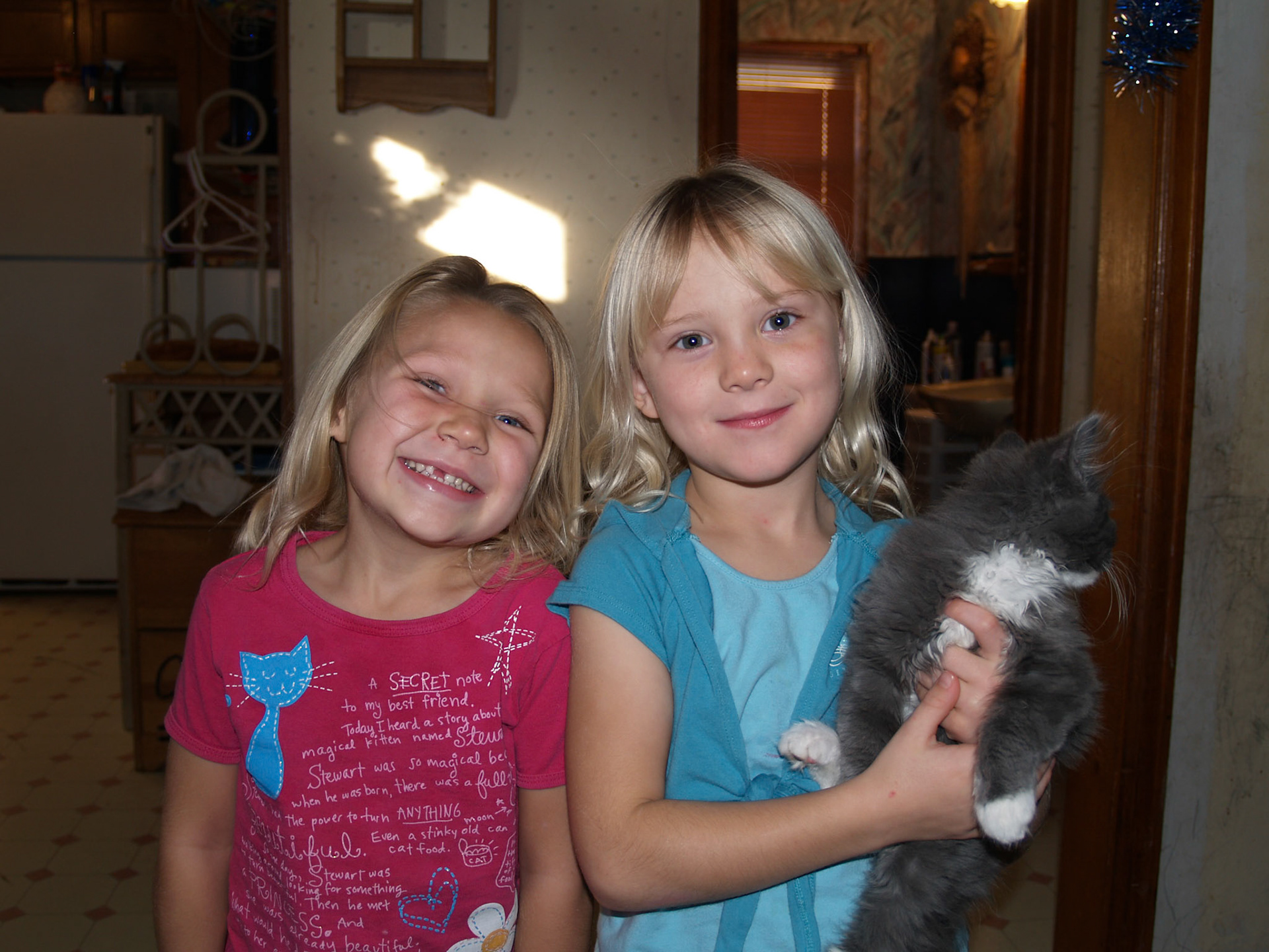 OLYMPUS DIGITAL CAMERA