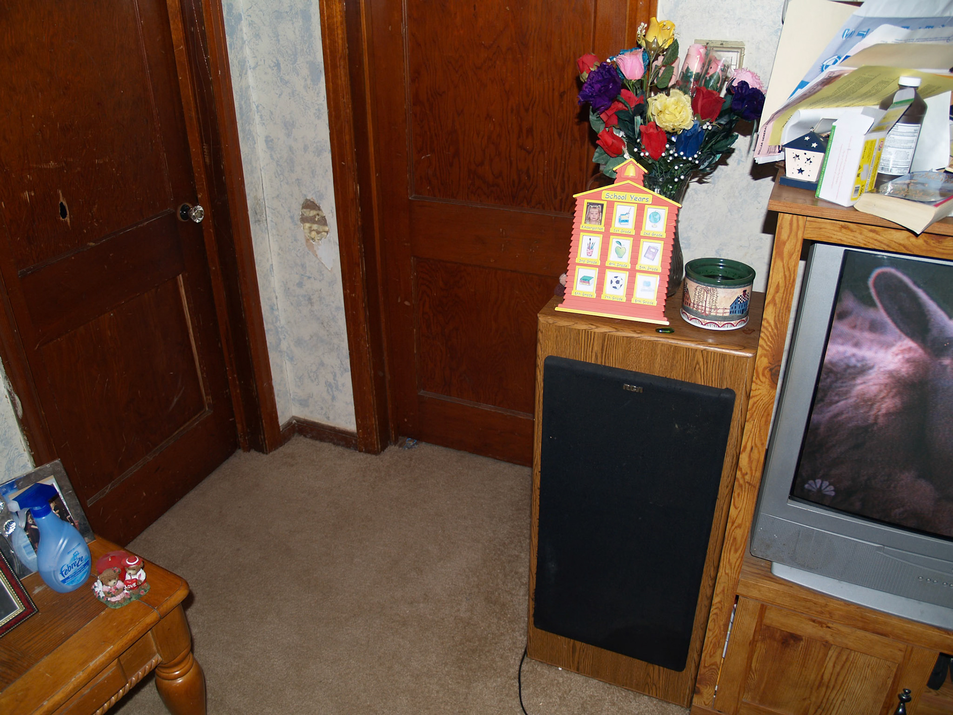 OLYMPUS DIGITAL CAMERA