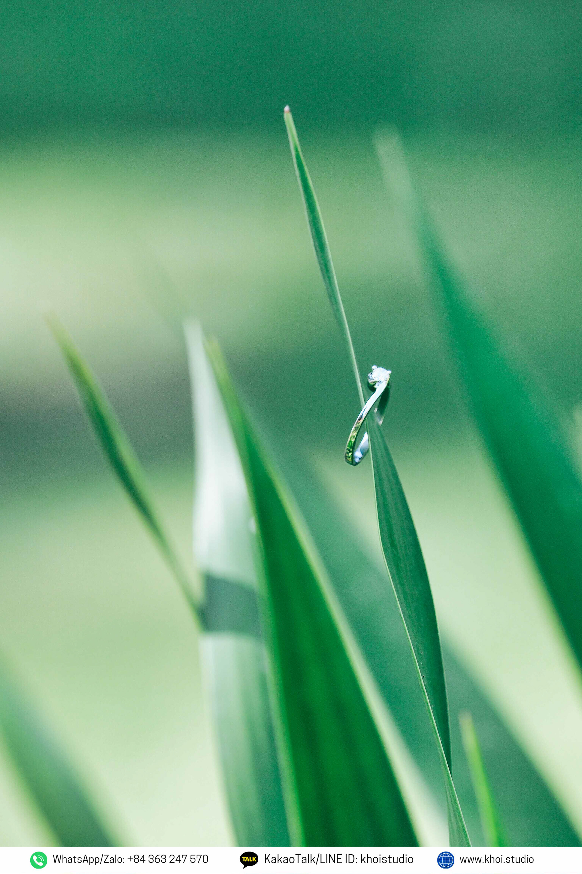 Da Nang proposal photoshoot with local photographer - Chụp ảnh Đà Nẵng