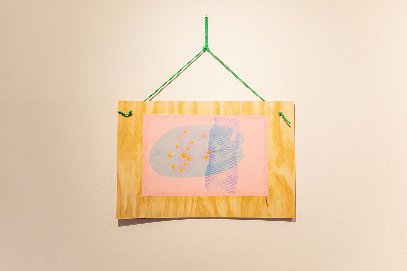 Lake. Risograph print, plywood, paracord.