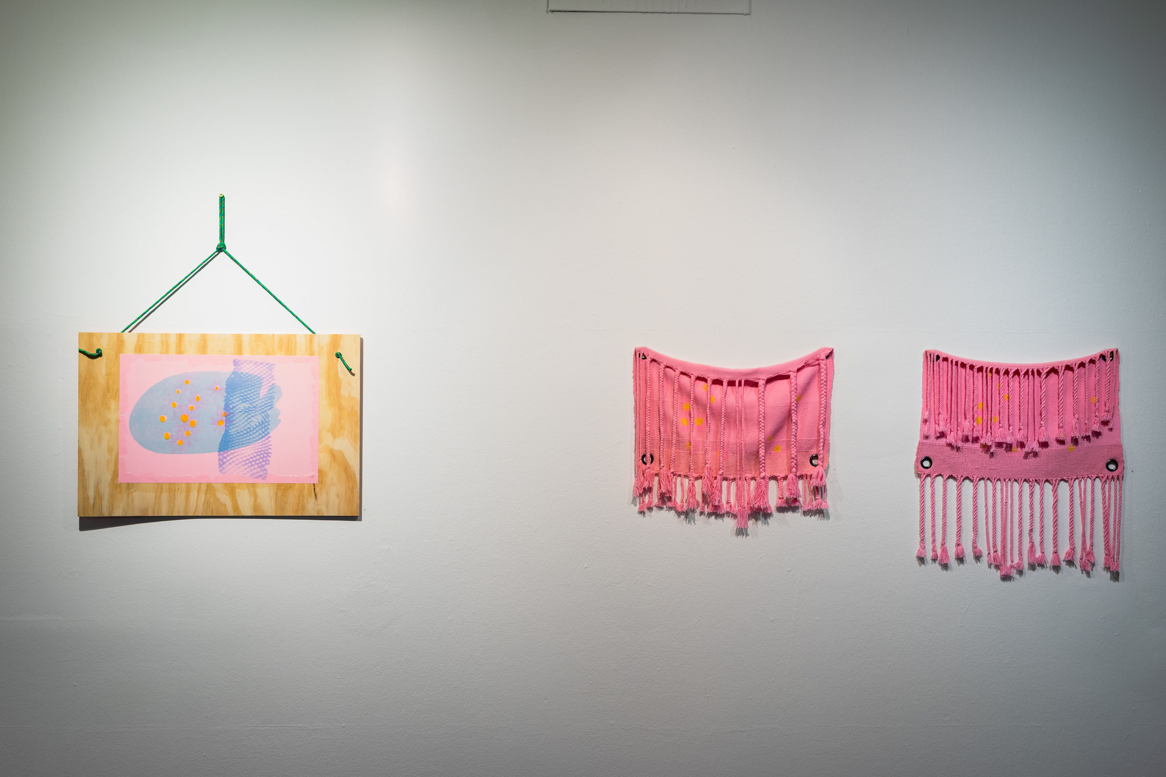 Installation view.