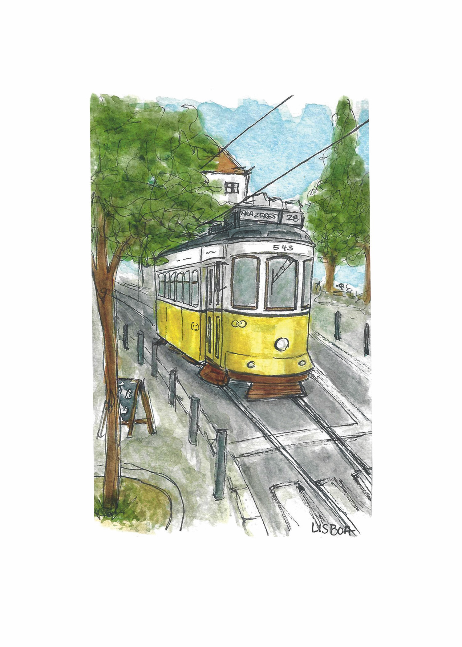 Watercolour sketches