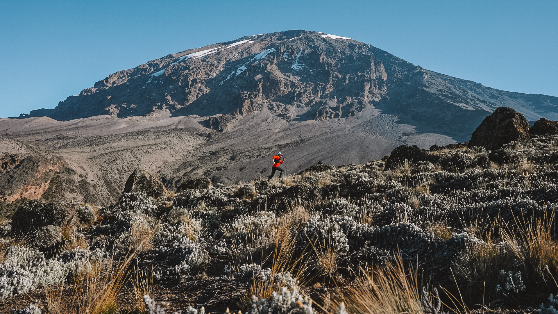 Kilimandjaro