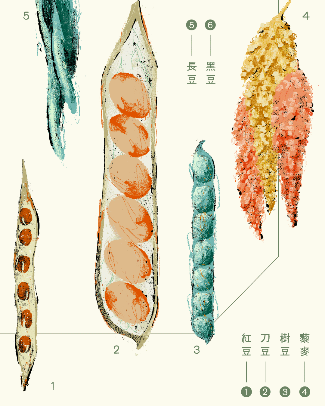 Seed Festival／種子生活節