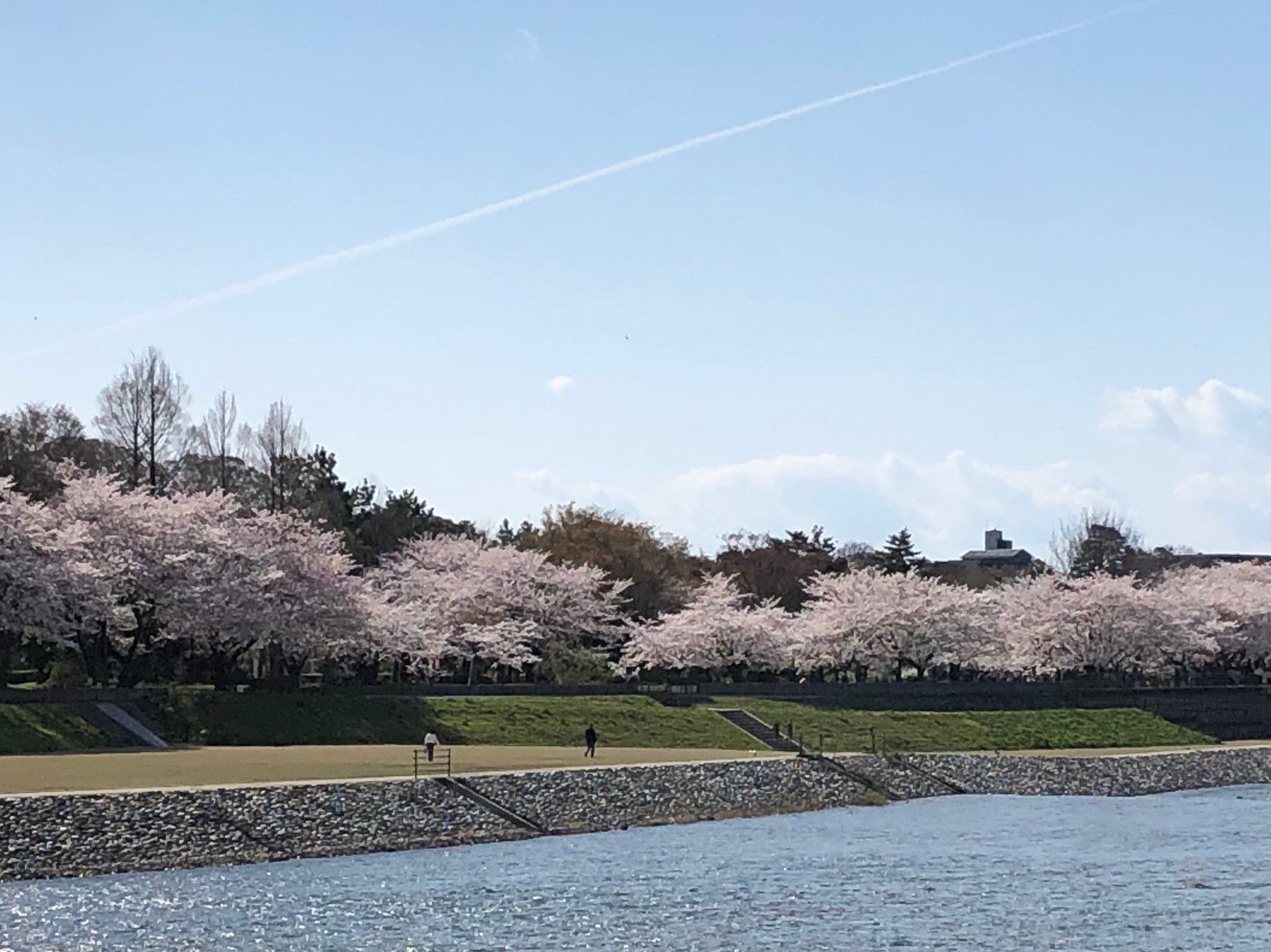 犀川
