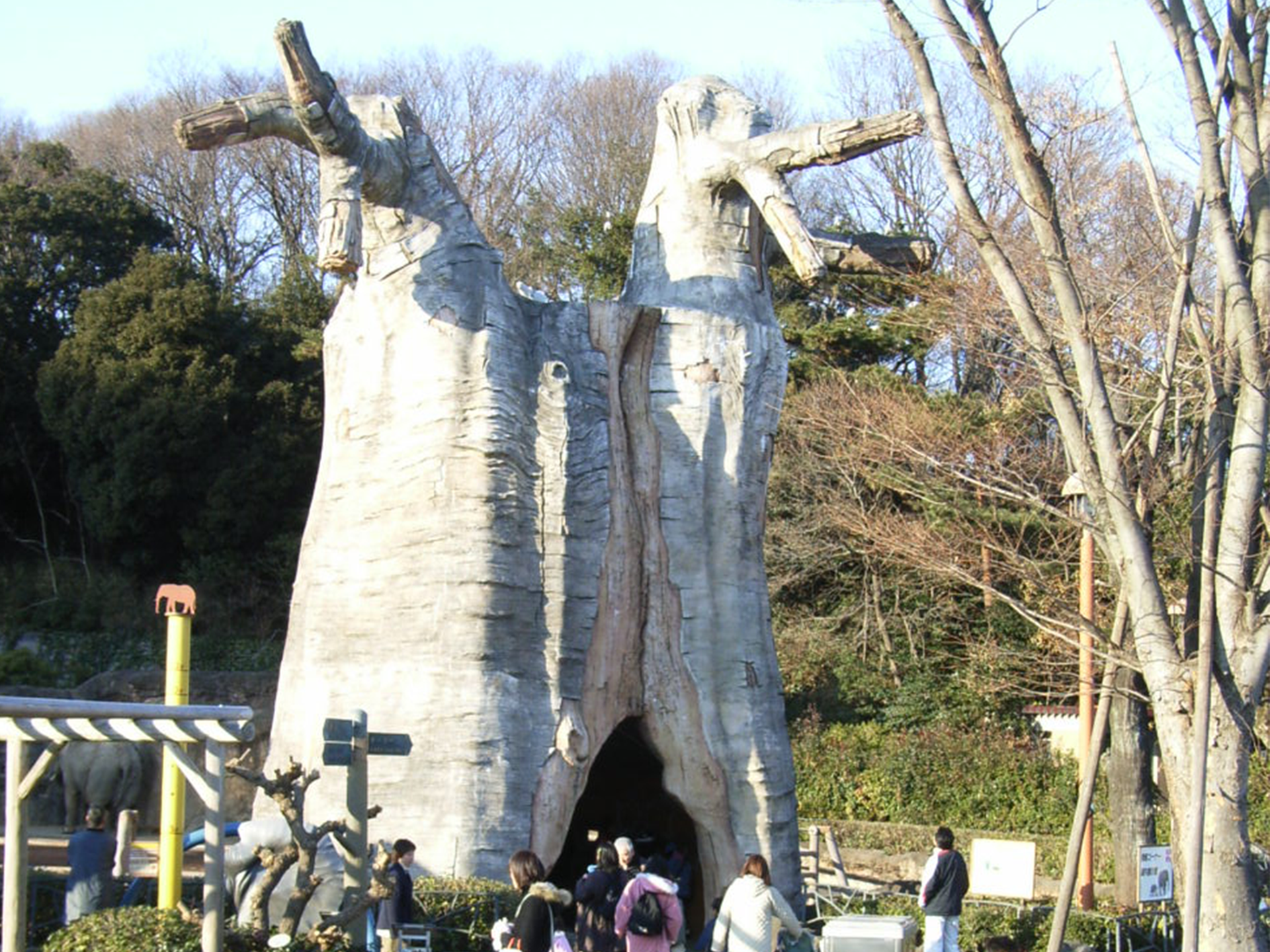 多摩zooバオバブの木