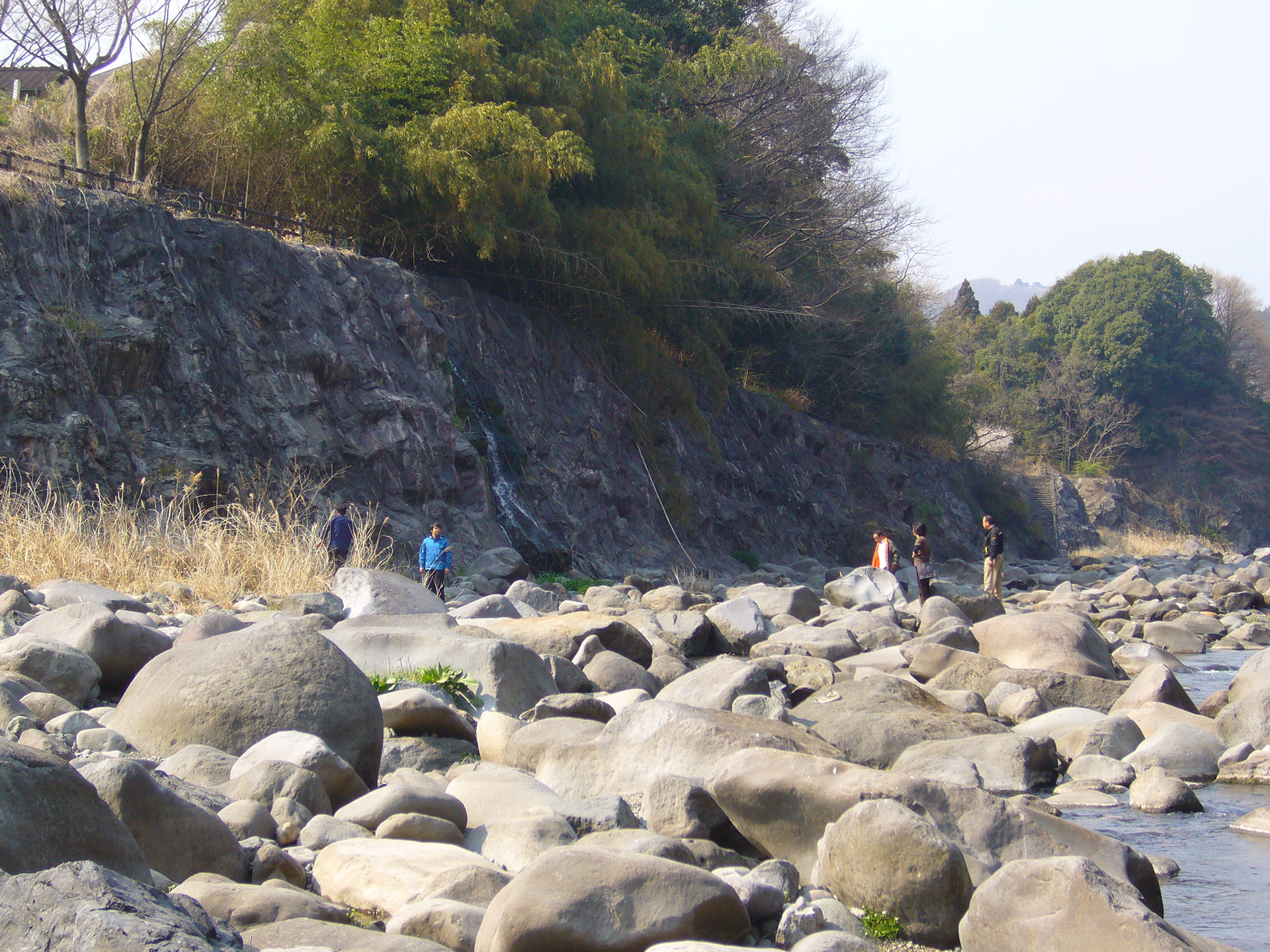 寒梅護岸ぎ岩