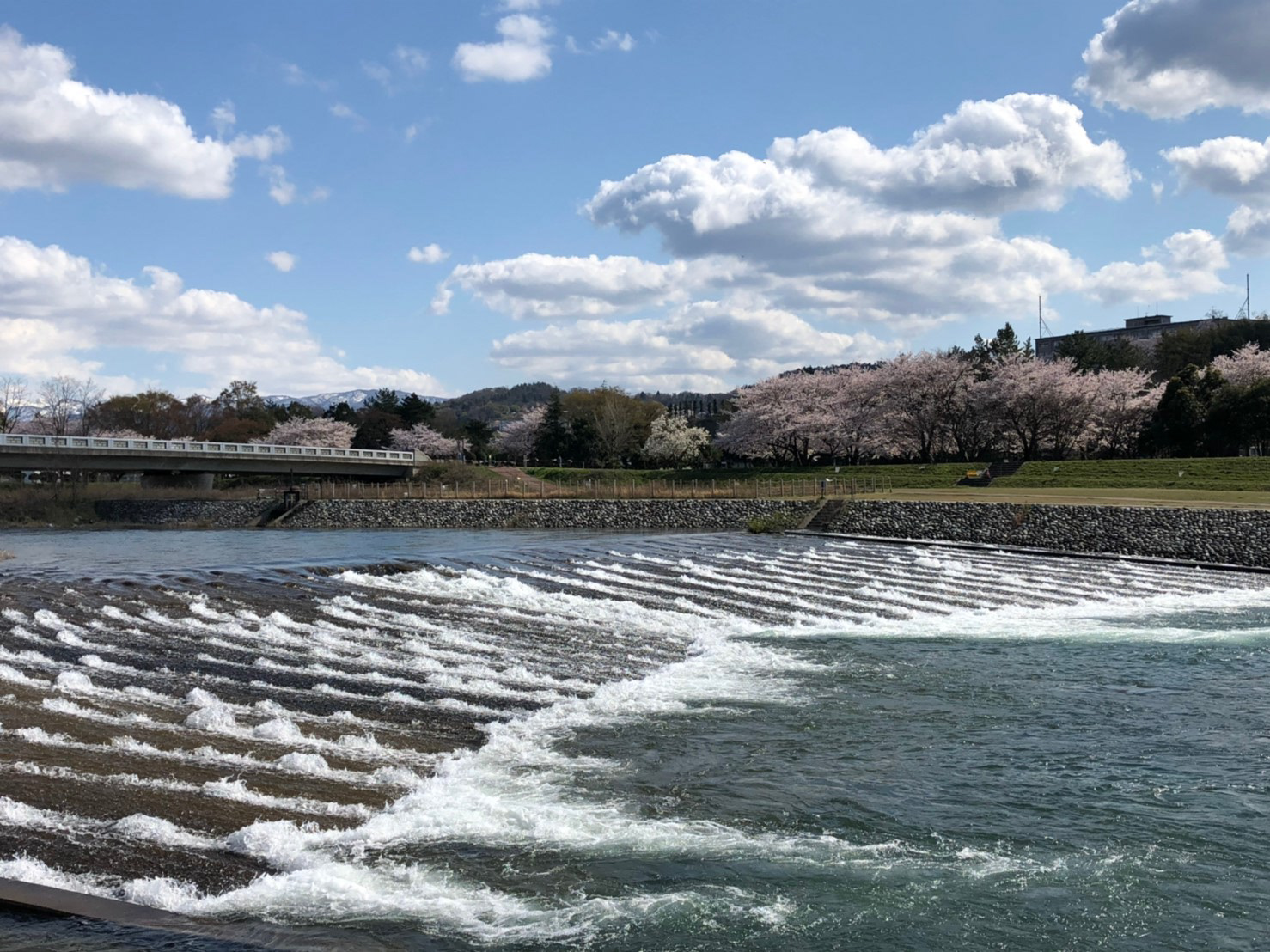 犀川
