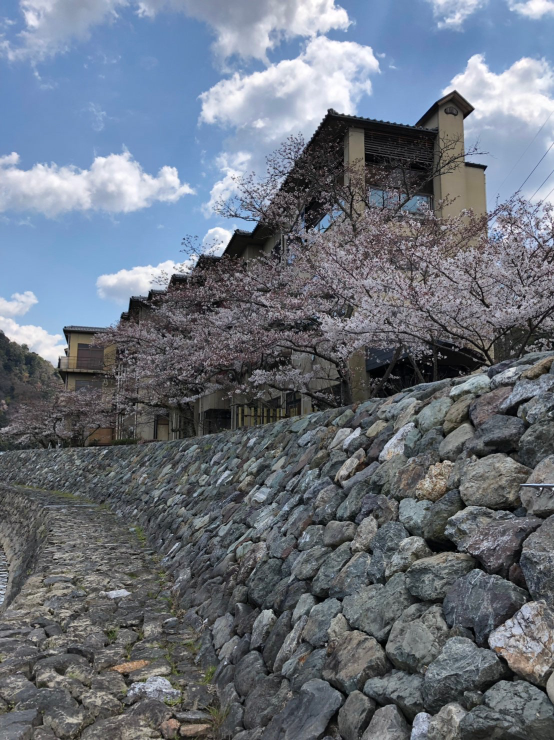 京都　塔の島