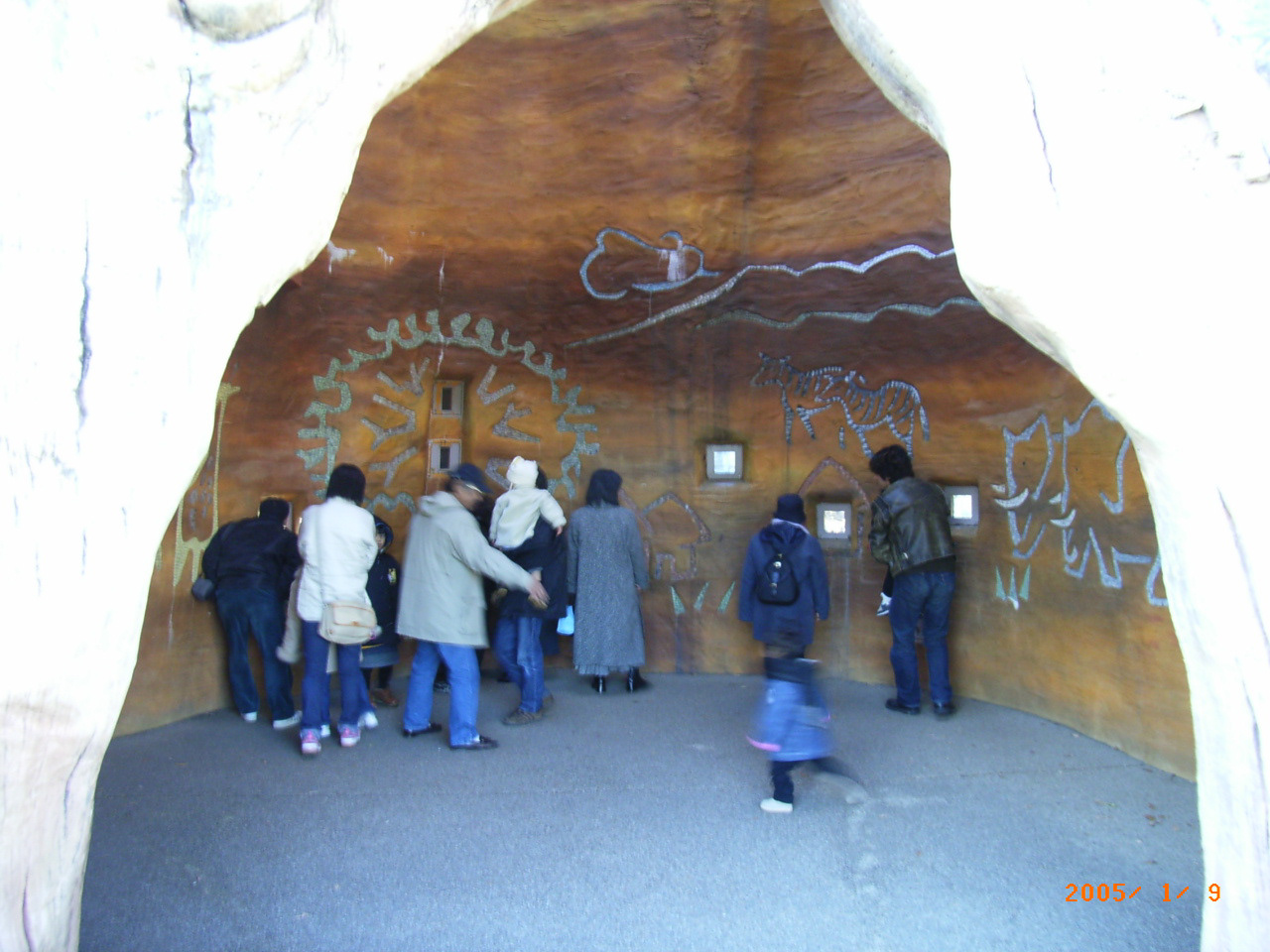 多摩zooバオバブの木