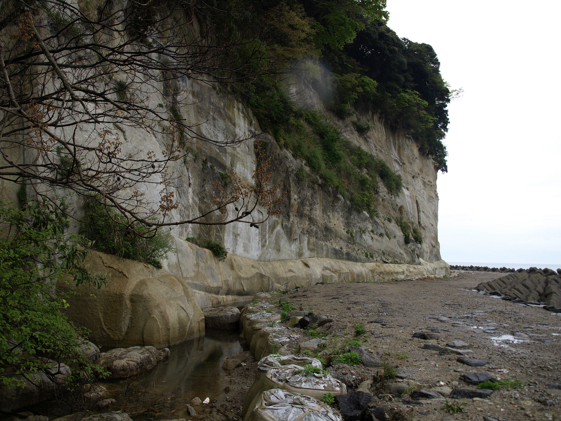 阿尾海岸