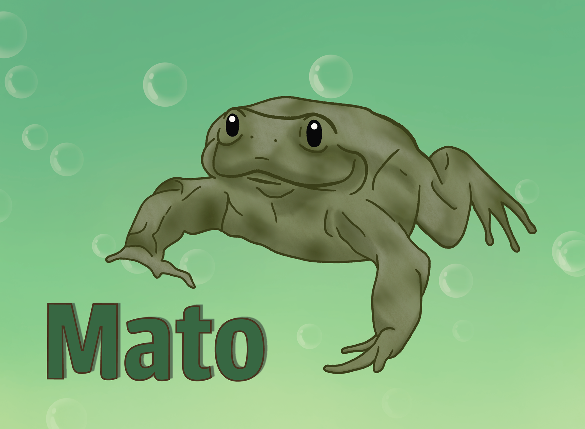 Mato the Titicaca Water Frog