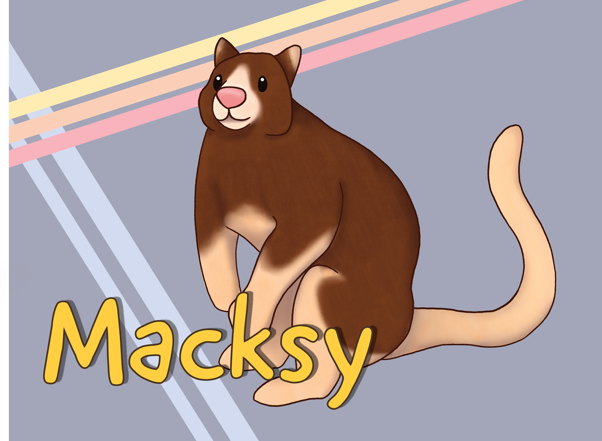 Macksy the Huon Tree Kangaroo