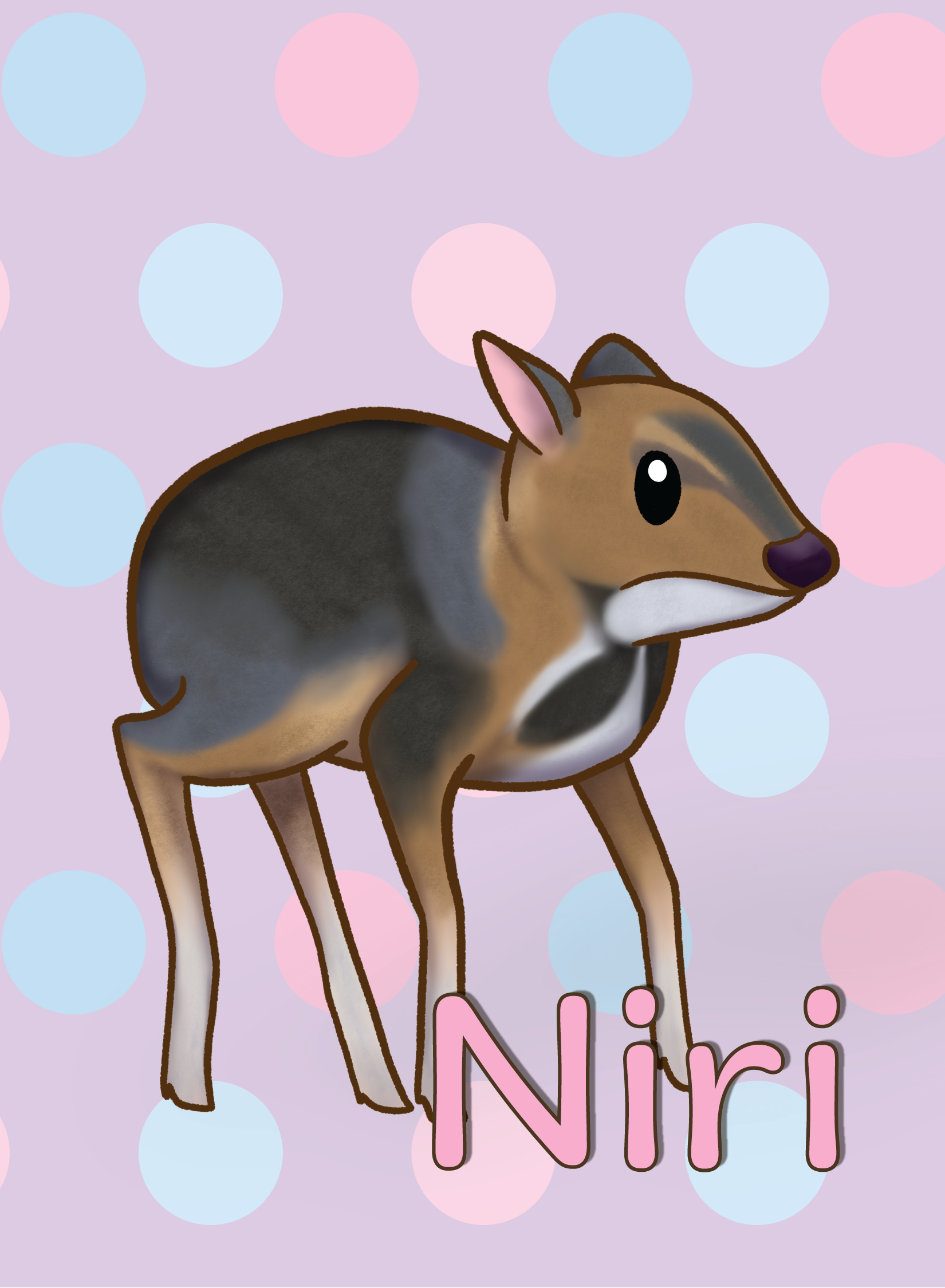Niri the Balabac Mouse Deer