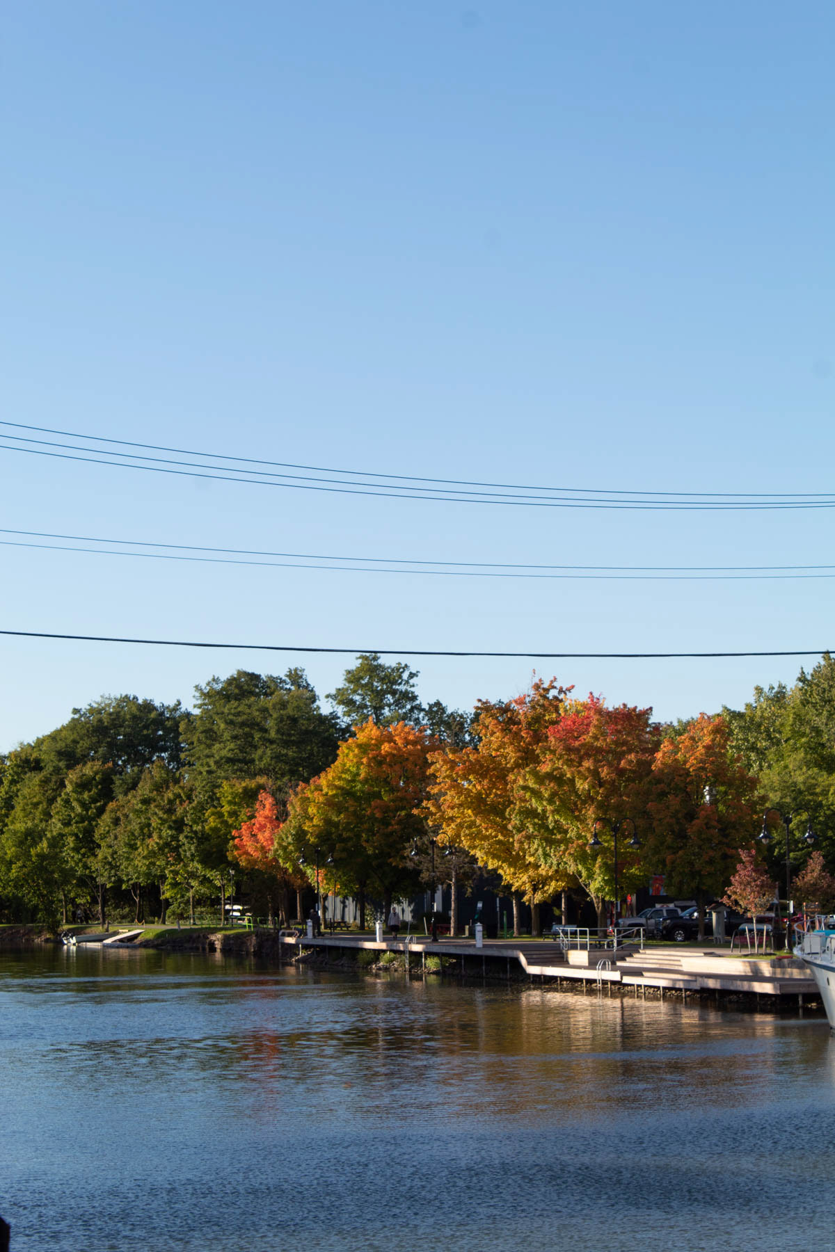 Canal and Trees