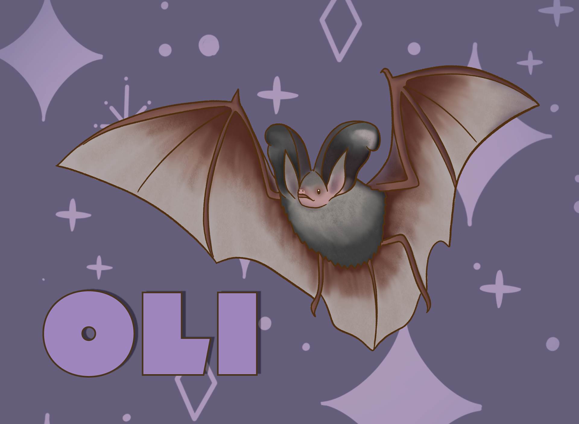 Oil the Sardinian Long-eared Bat