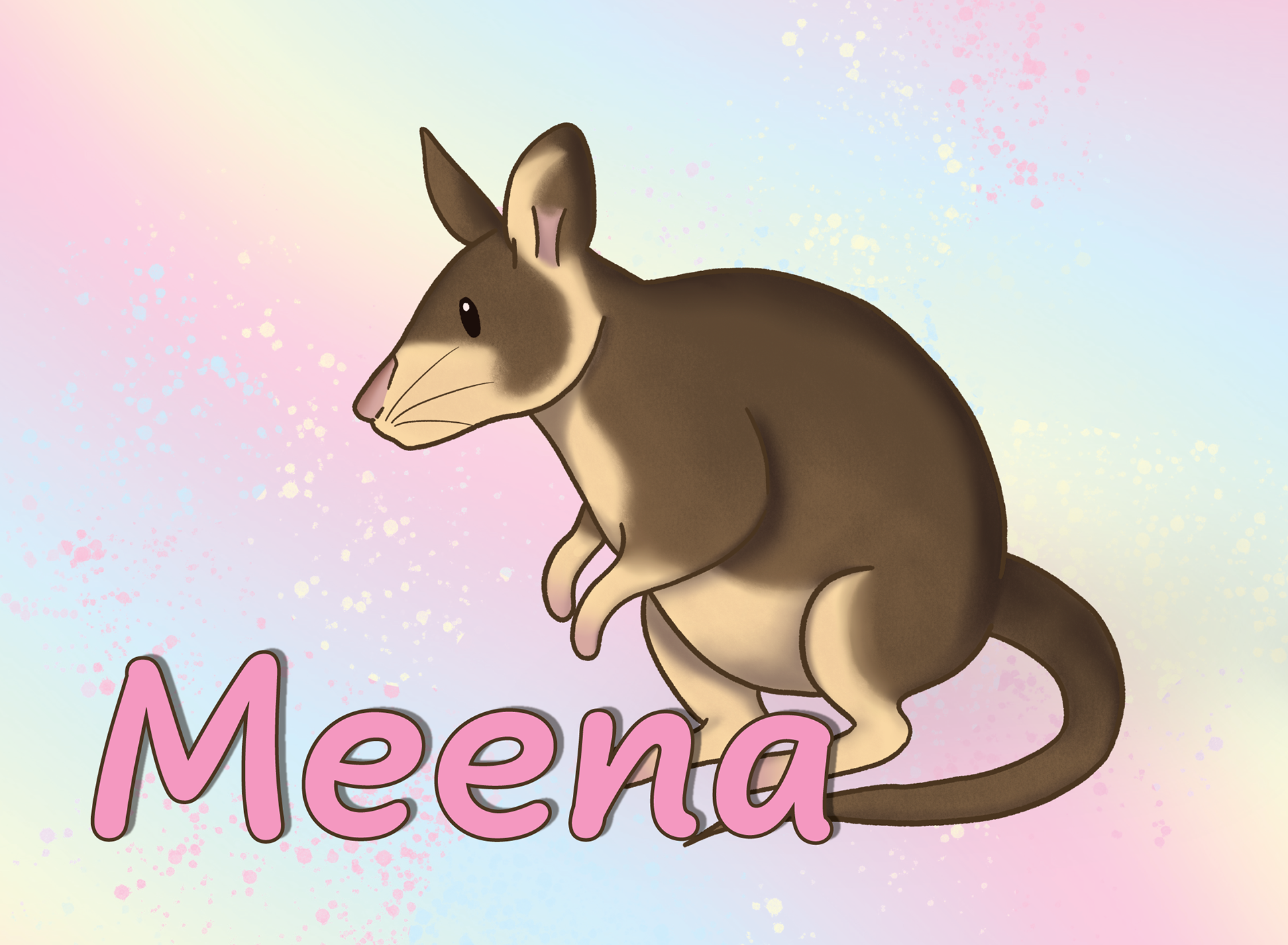 Meena the Malagasy Giant Jumping Rat