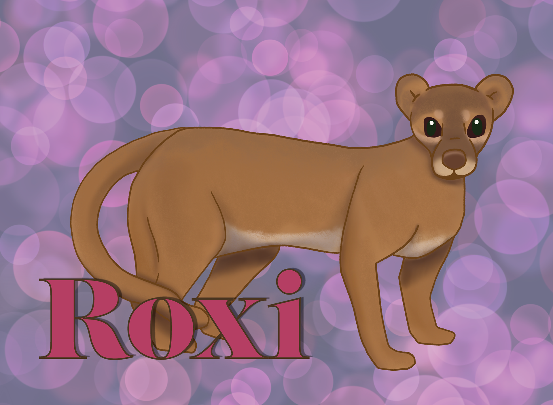 Roxi the Fossa