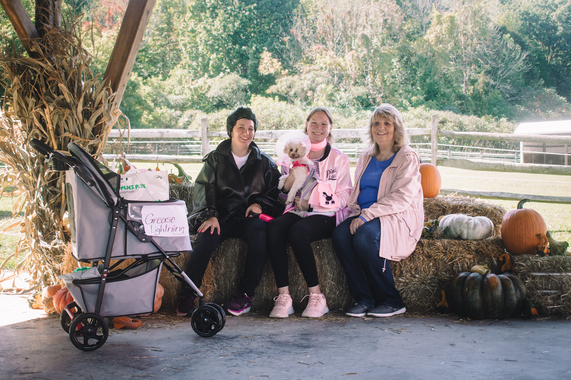 Grease Lightning group costume