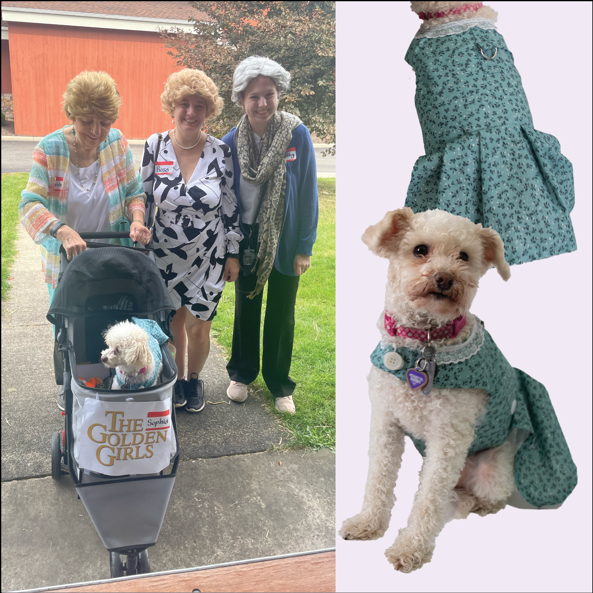 Sophia Petrillo (Golden Girls Costume) 