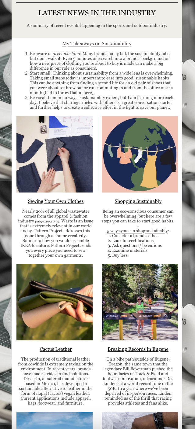 Newsletter #2