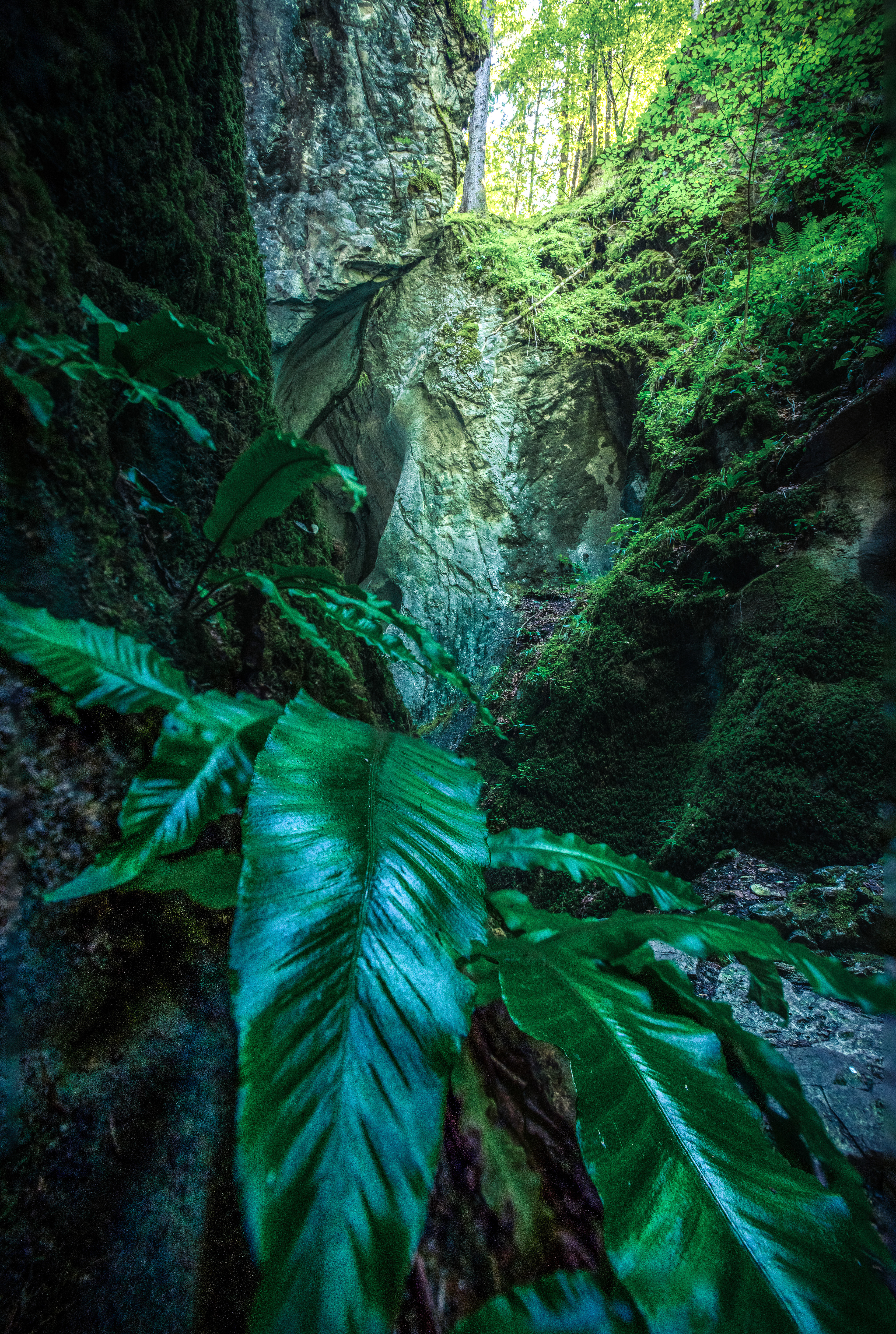 Rappenlochschlucht
