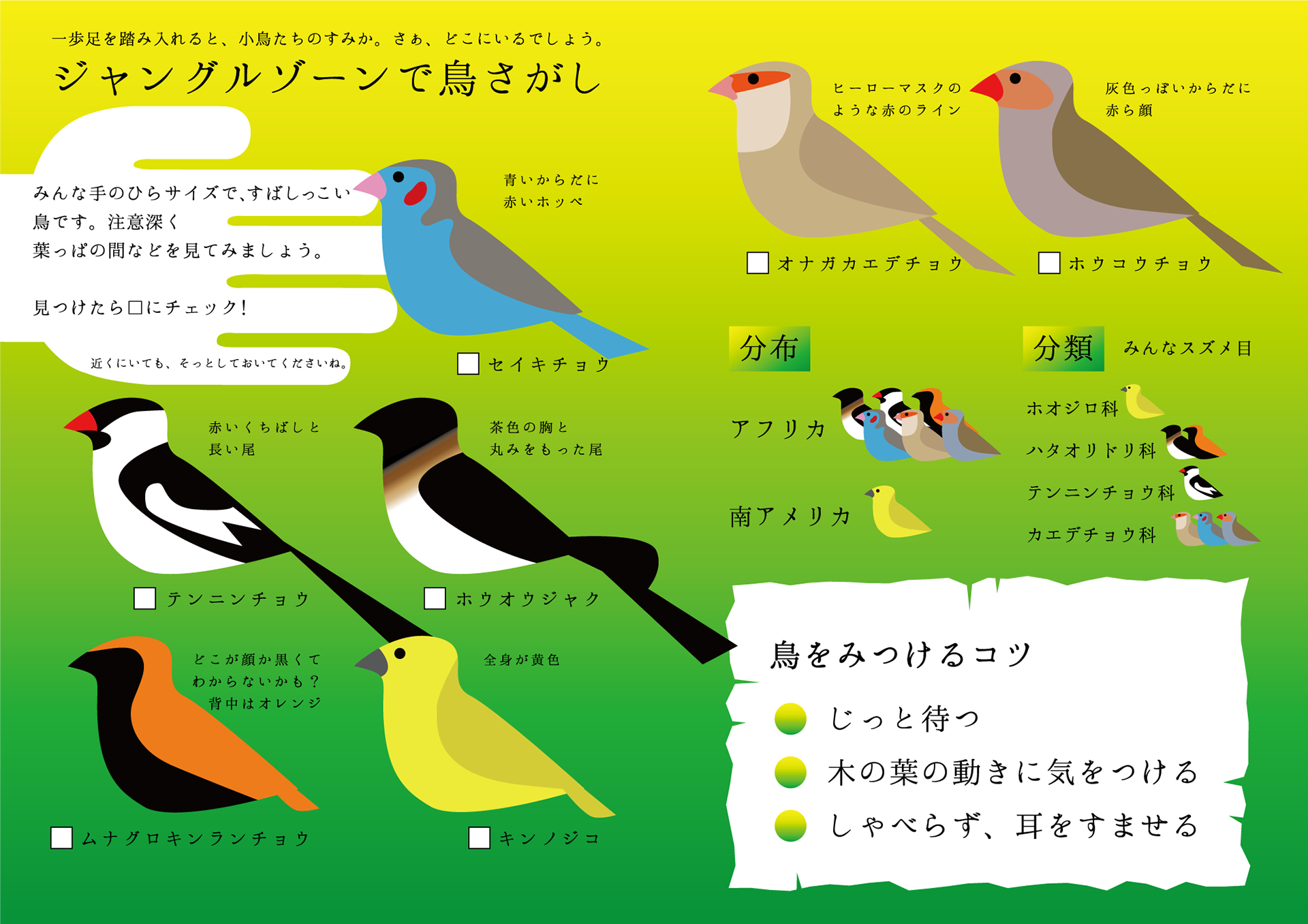 熱帯鳥類館で鳥をさがしてみよう