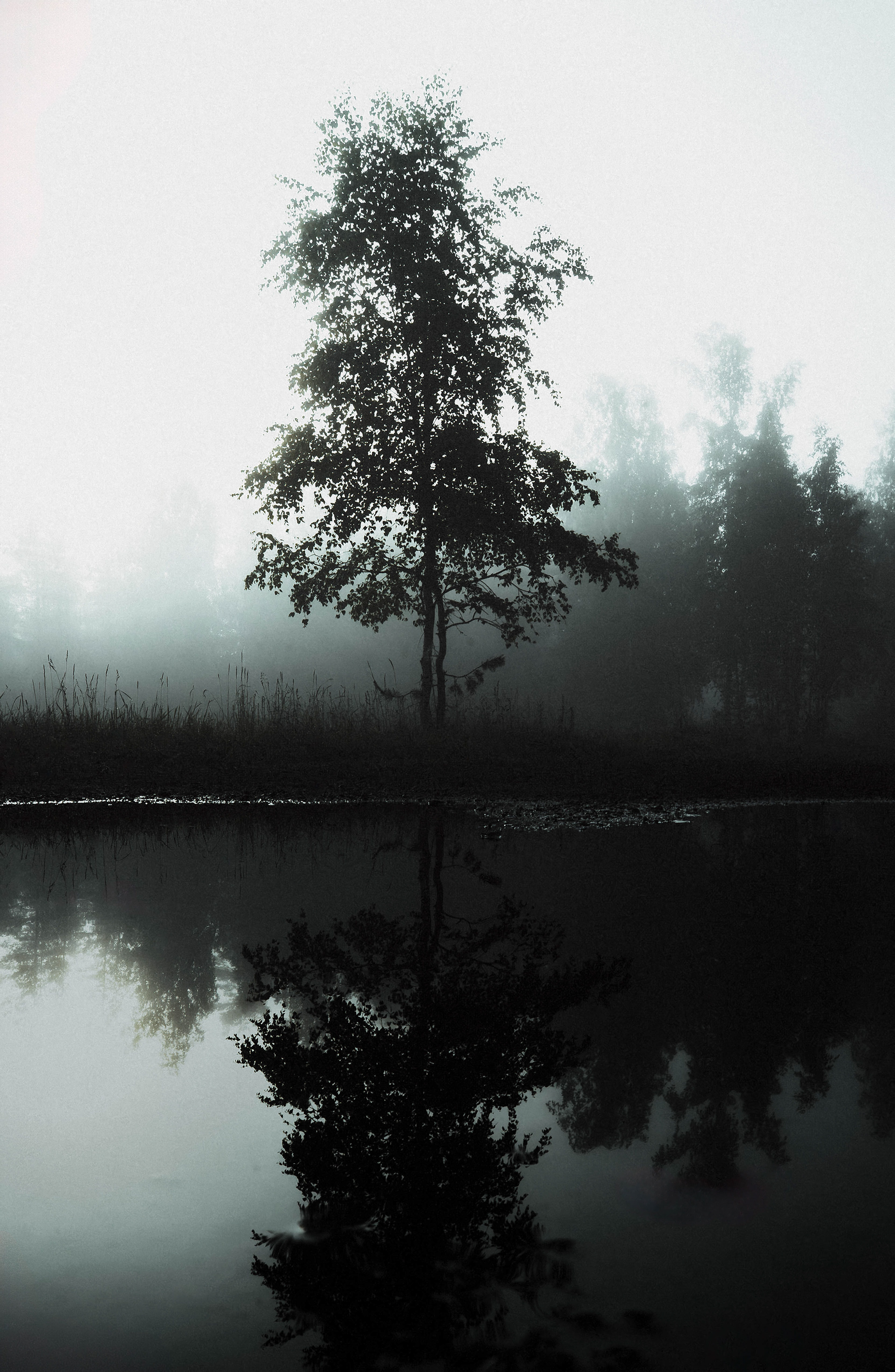 Nastola, Finland. 2026