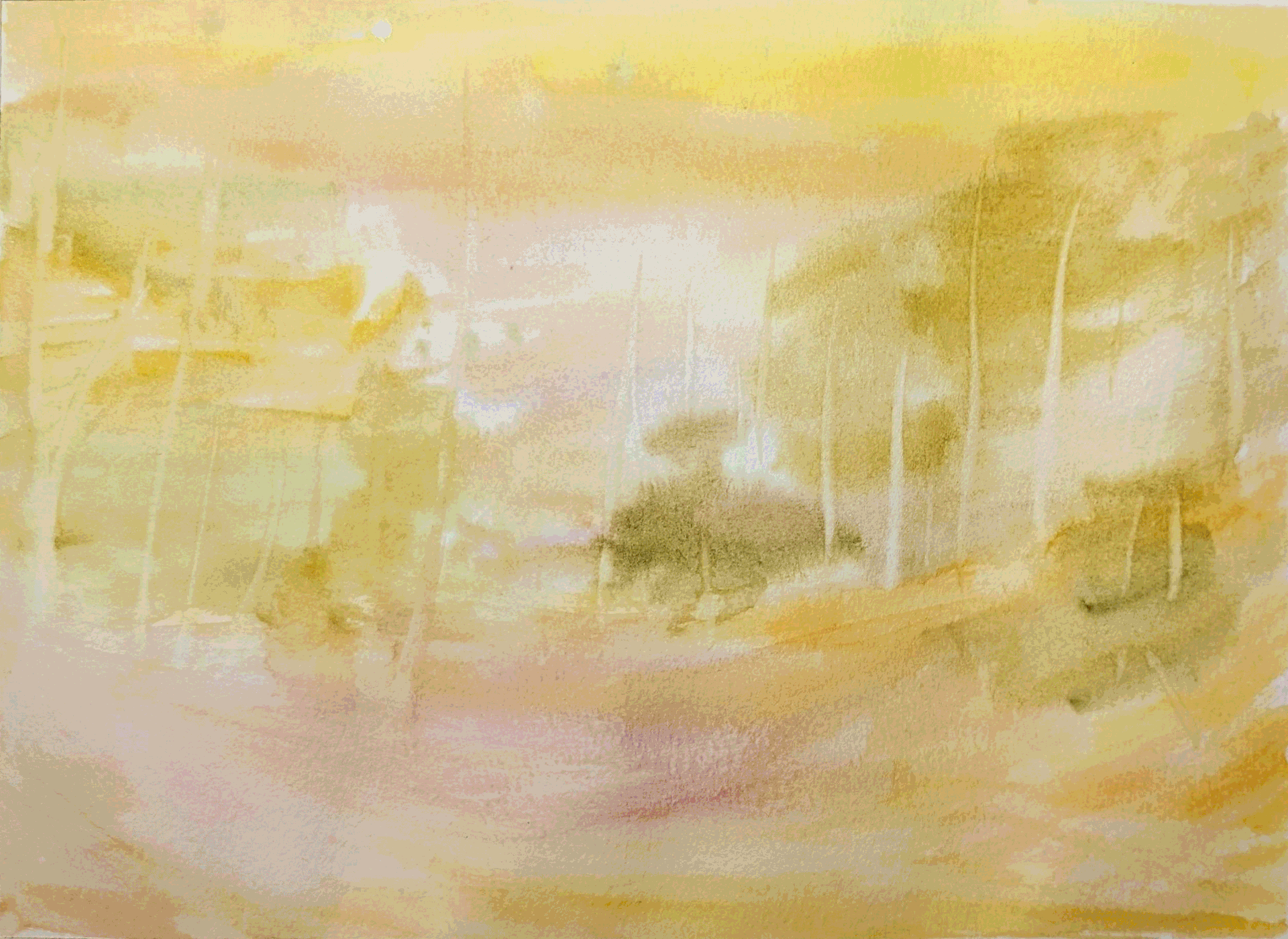 Little Steps Process