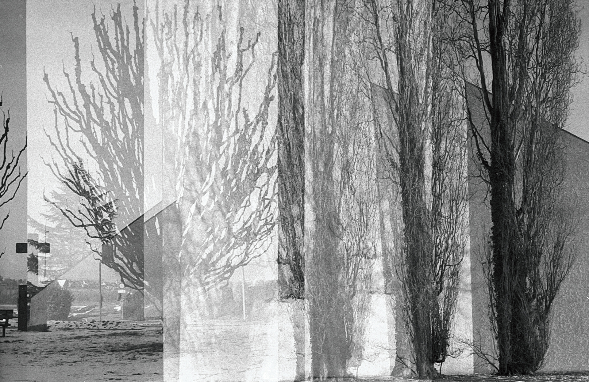 Olympus Pen F, Ilford XP-5, avancement de film défectueux 02